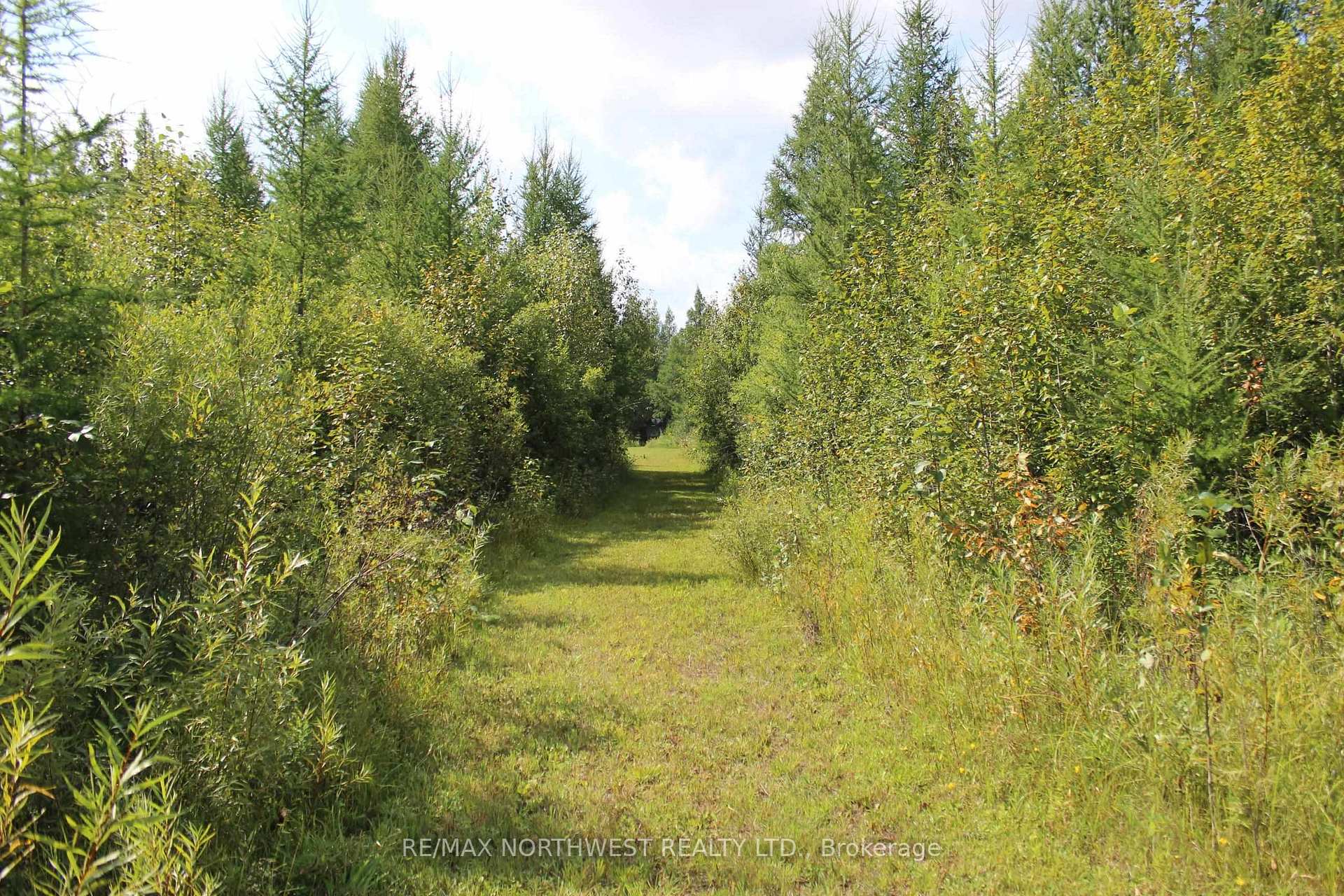 Photo 30 of PCL 13496 Blue Rd 2, Dawson, TB-403 — HOMEH