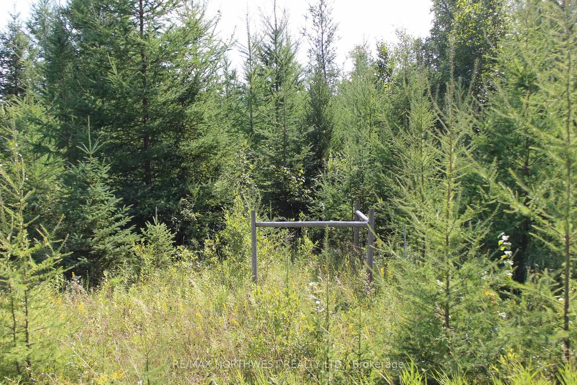 Photo 36 of PCL 13496 Blue Rd 2, Dawson, TB-403 — HOMEH