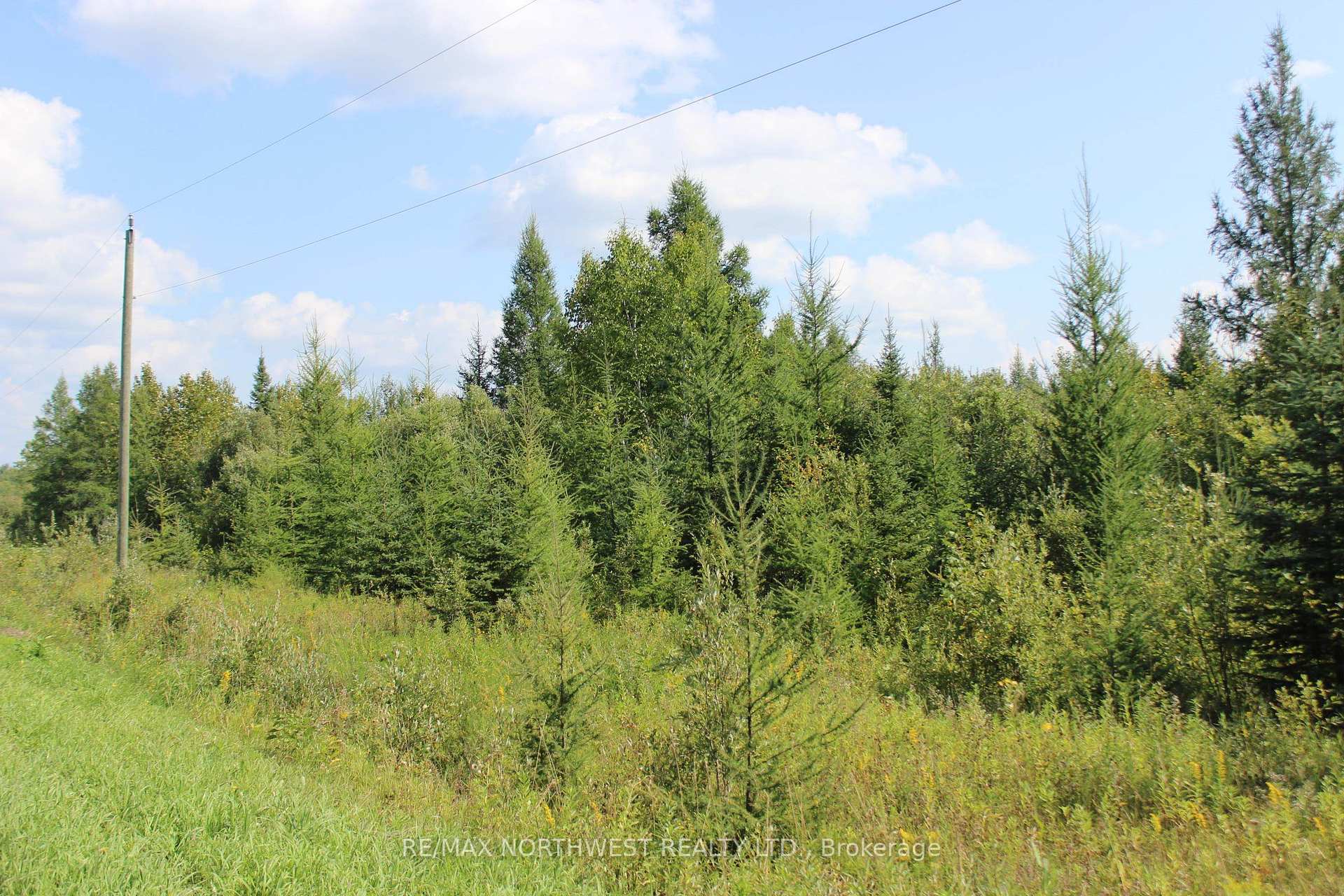 Photo 37 of PCL 13496 Blue Rd 2, Dawson, TB-403 — HOMEH