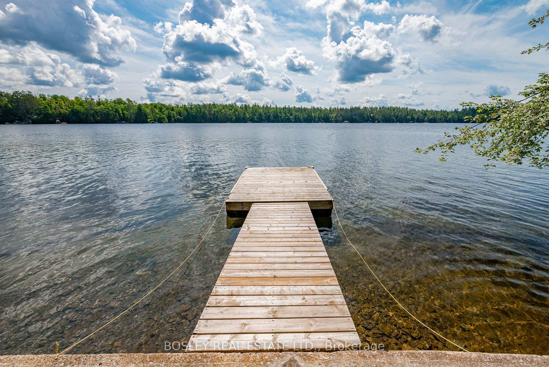 Photo 38 of 88 Anne Drive, Trent Lakes — HOMEH