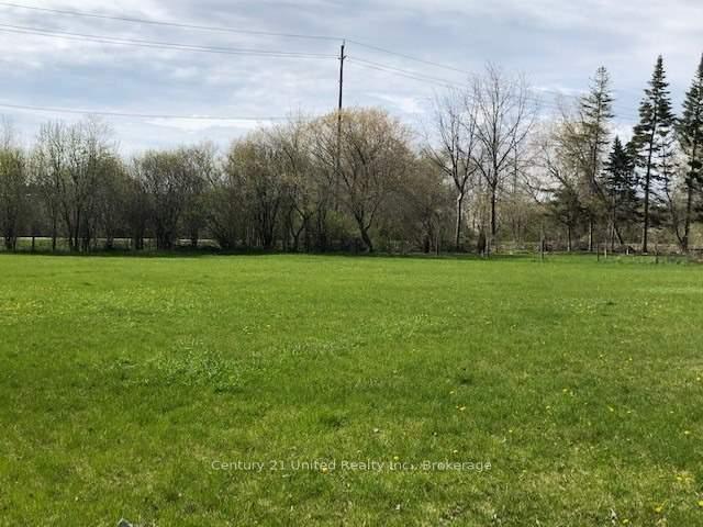 Photo 5 of Unit A, 818 Orpington Road, Peterborough, Otonabee Ward 1 — HOMEH