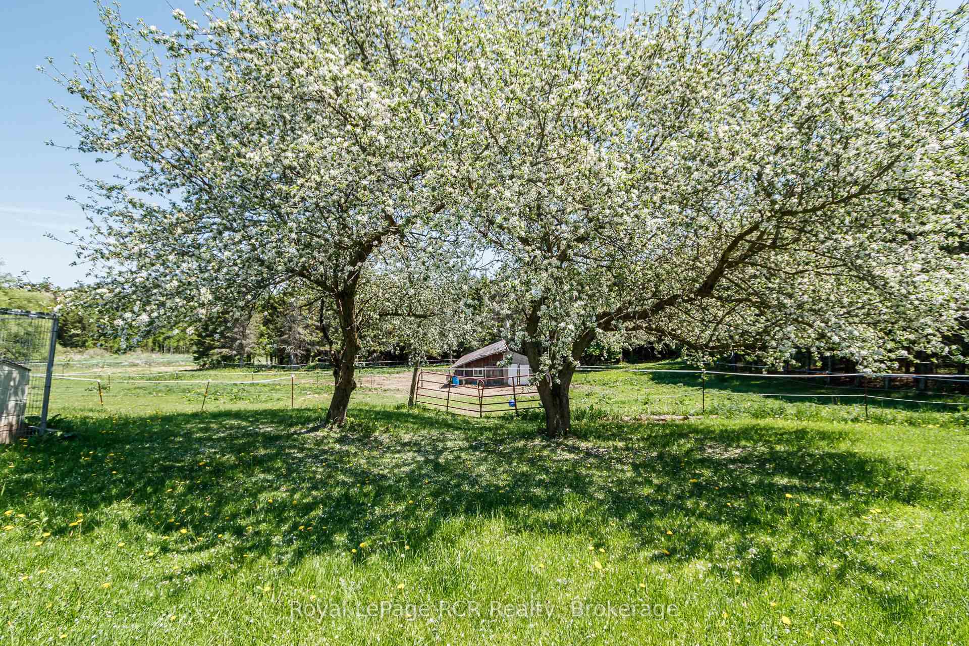 Photo 32 of 2553 County Road 42, Clearview, Rural Clearview — HOMEH