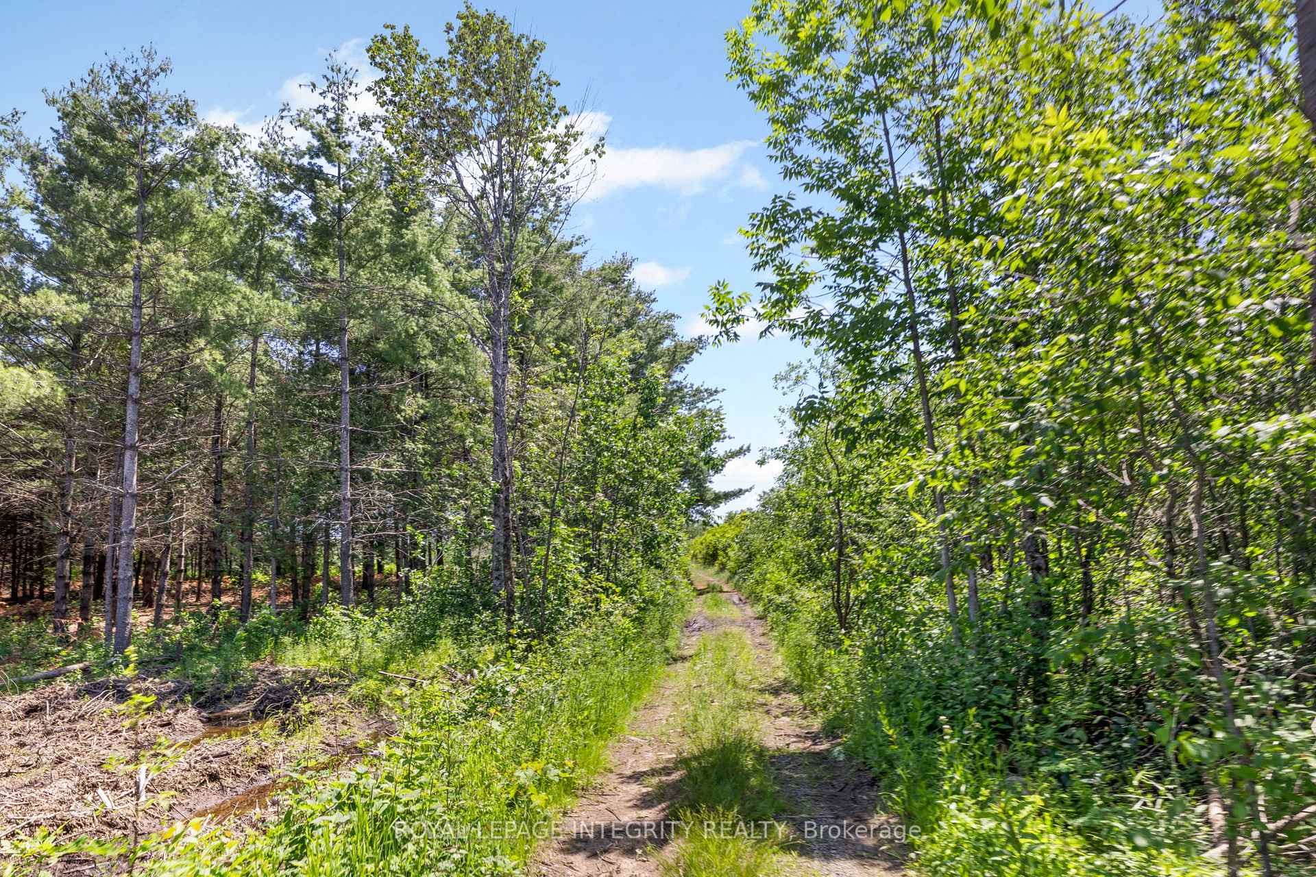 Photo 43 of 4228 O'Neil Road, Ottawa, Rideau Twp South To Roger Stevens Drive — HOMEH