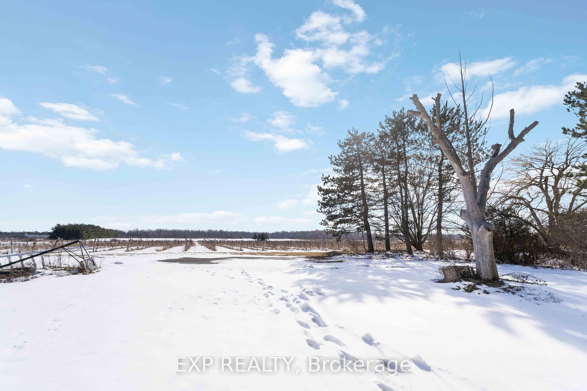 Photo 41 of 5378 Fly Road, Lincoln, Escarpment — HOMEH