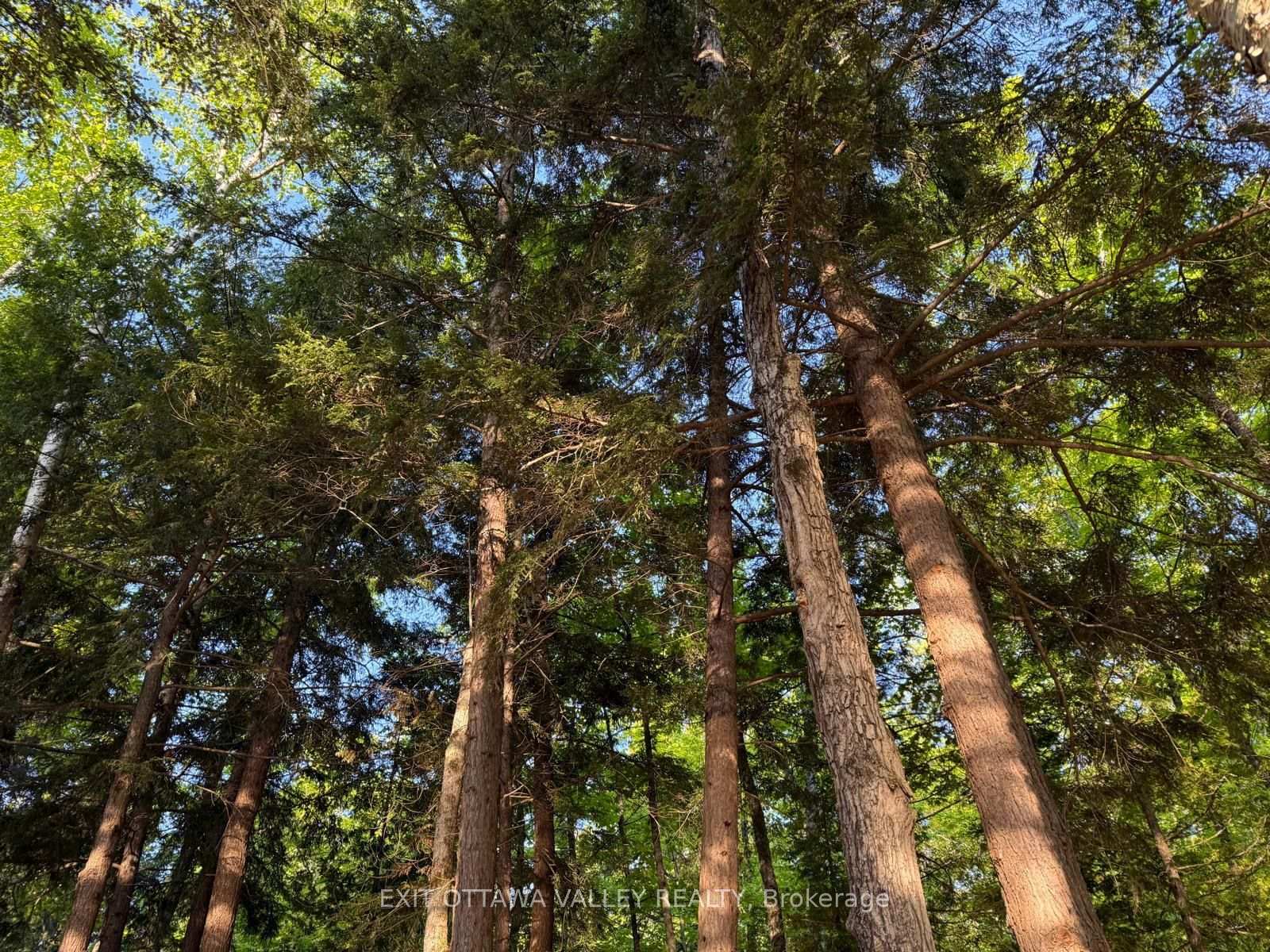 Photo 22 of Lakeshore Drive, Hastings Highlands, Bangor Ward — HOMEH