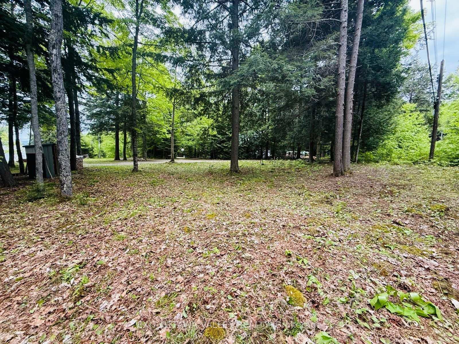 Photo 33 of Lakeshore Drive, Hastings Highlands, Bangor Ward — HOMEH