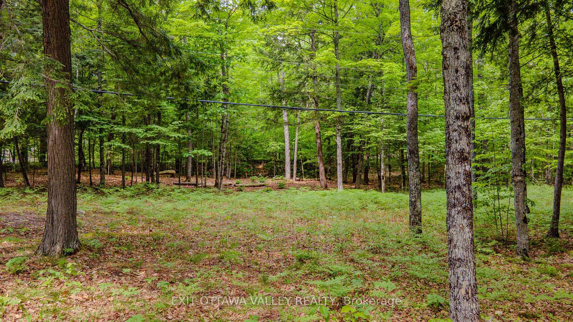 Photo 34 of Lakeshore Drive, Hastings Highlands, Bangor Ward — HOMEH