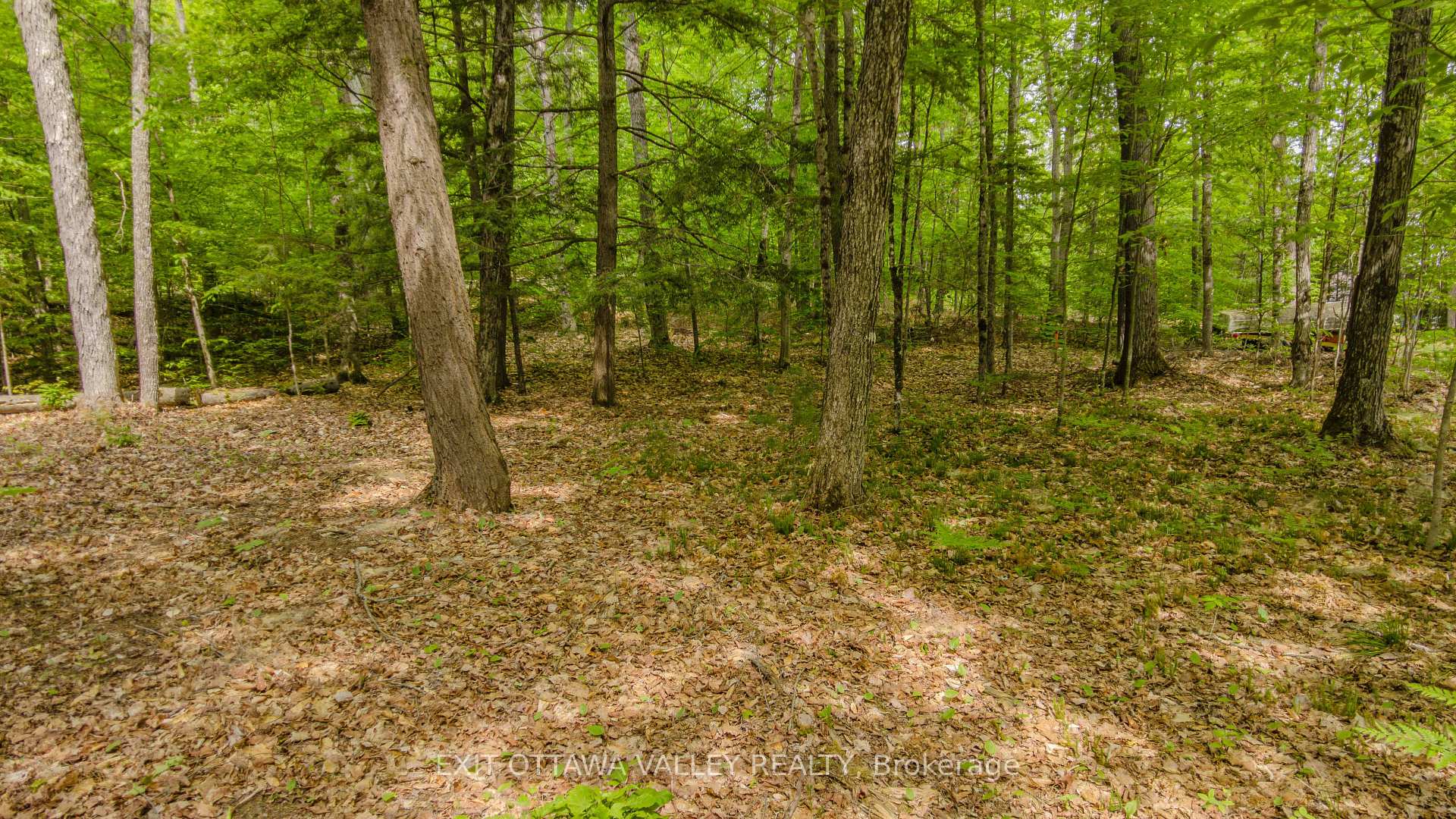 Photo 38 of Lakeshore Drive, Hastings Highlands, Bangor Ward — HOMEH