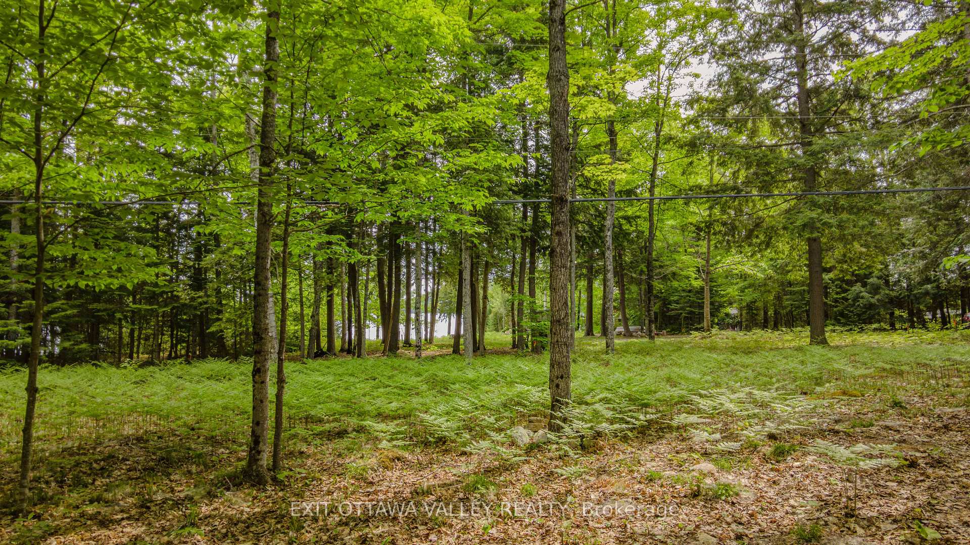 Photo 39 of Lakeshore Drive, Hastings Highlands, Bangor Ward — HOMEH