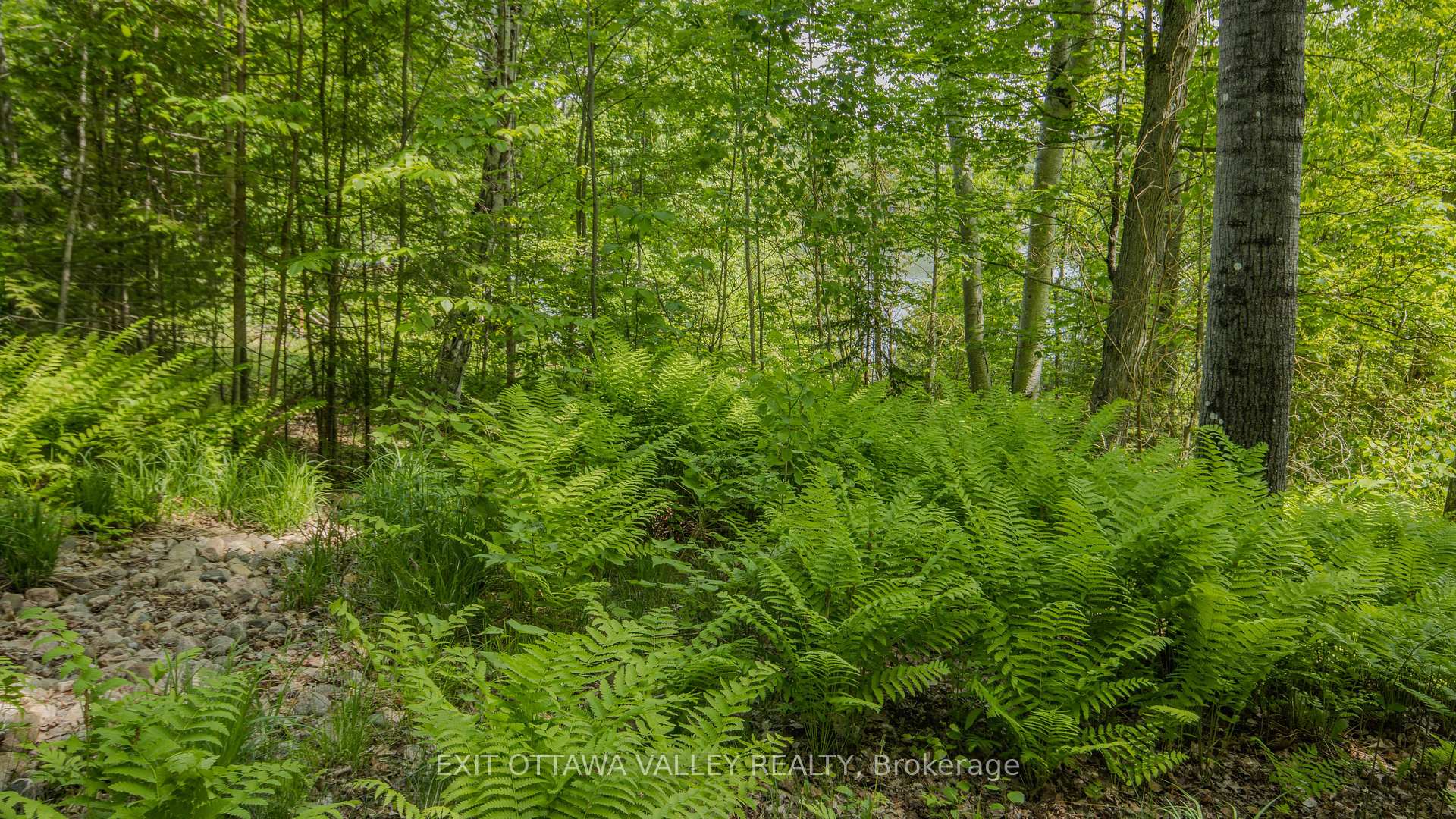 Photo 45 of Lakeshore Drive, Hastings Highlands, Bangor Ward — HOMEH