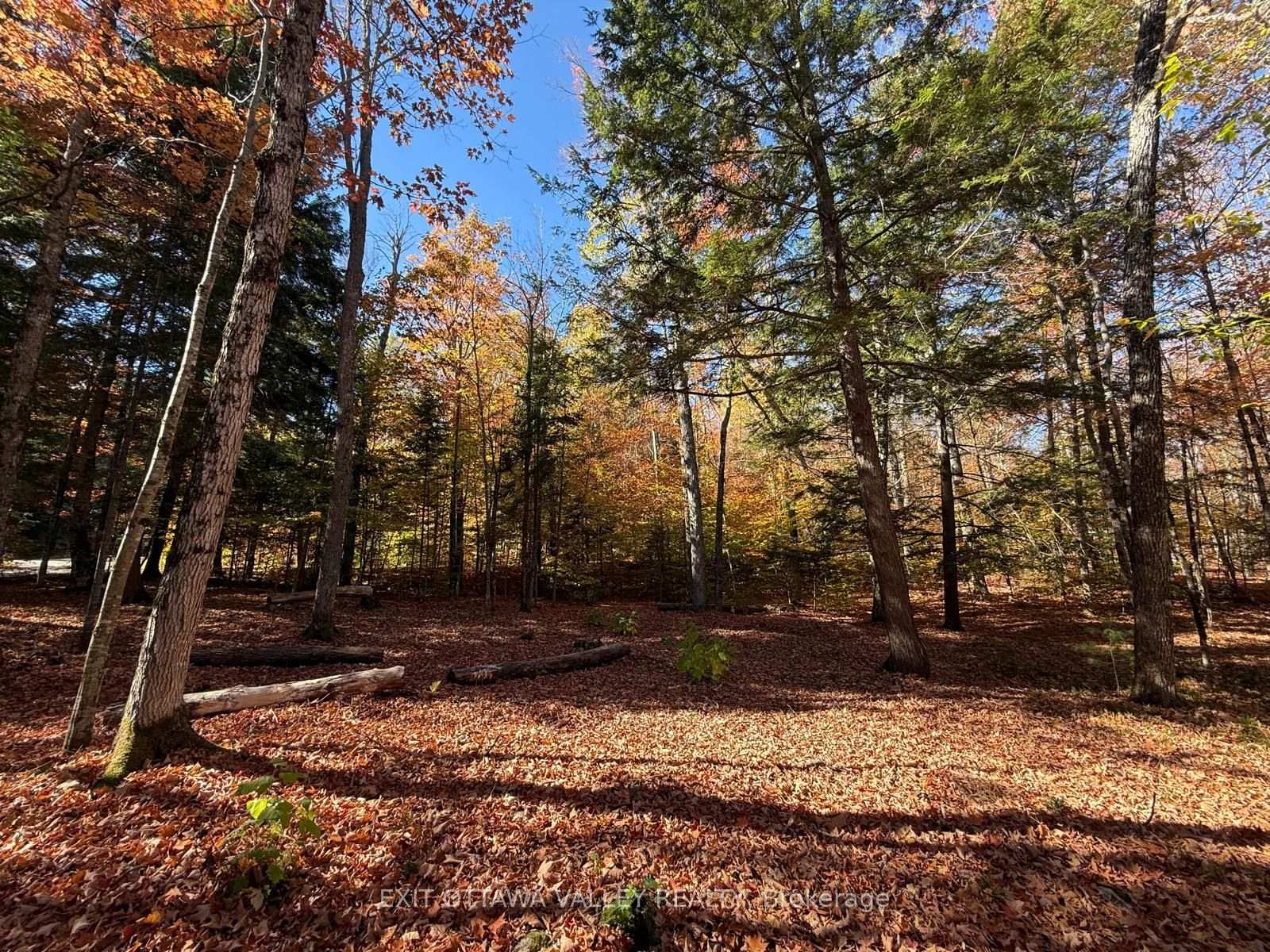 Photo 46 of Lakeshore Drive, Hastings Highlands, Bangor Ward — HOMEH