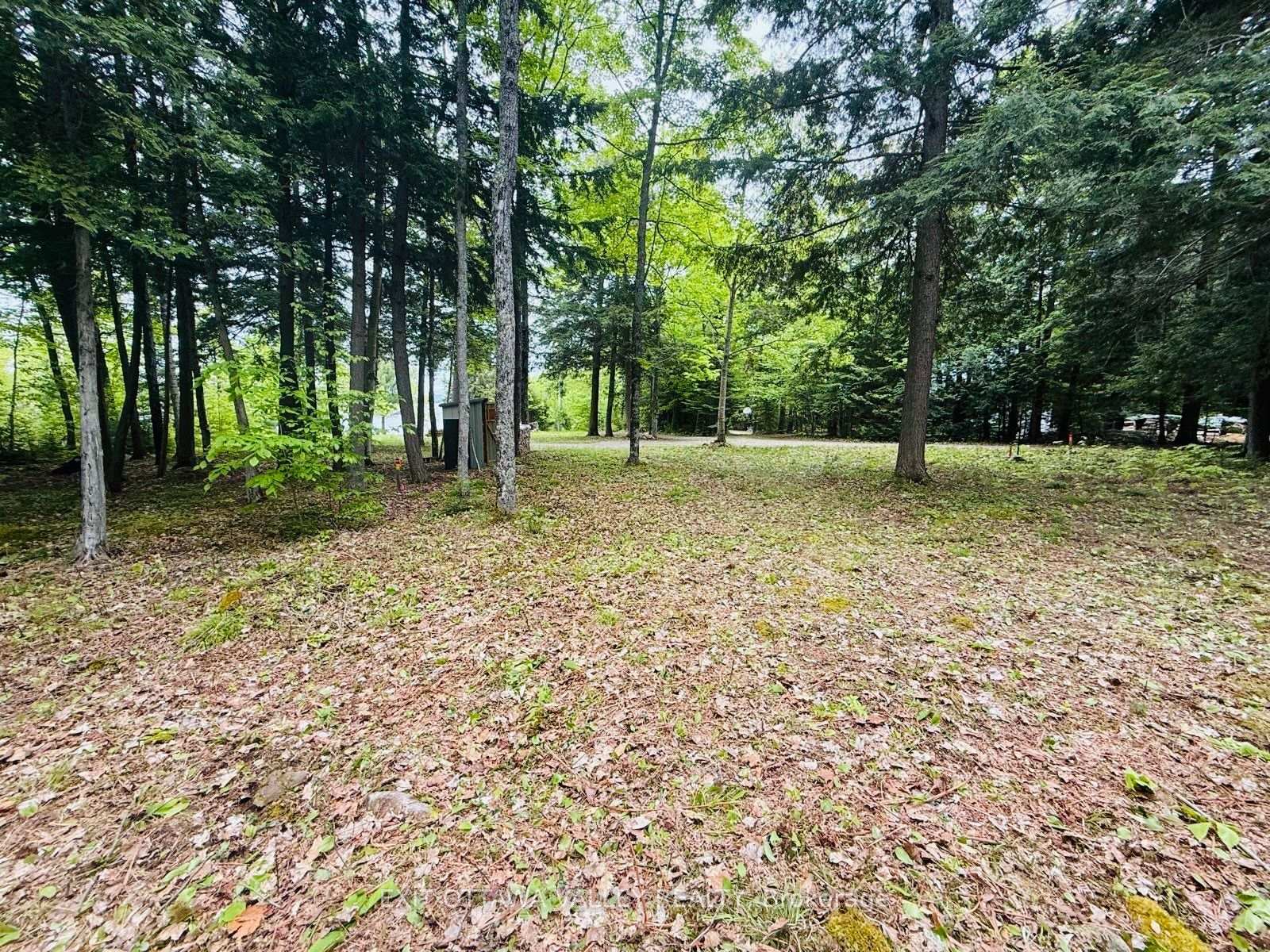 Photo 48 of Lakeshore Drive, Hastings Highlands, Bangor Ward — HOMEH