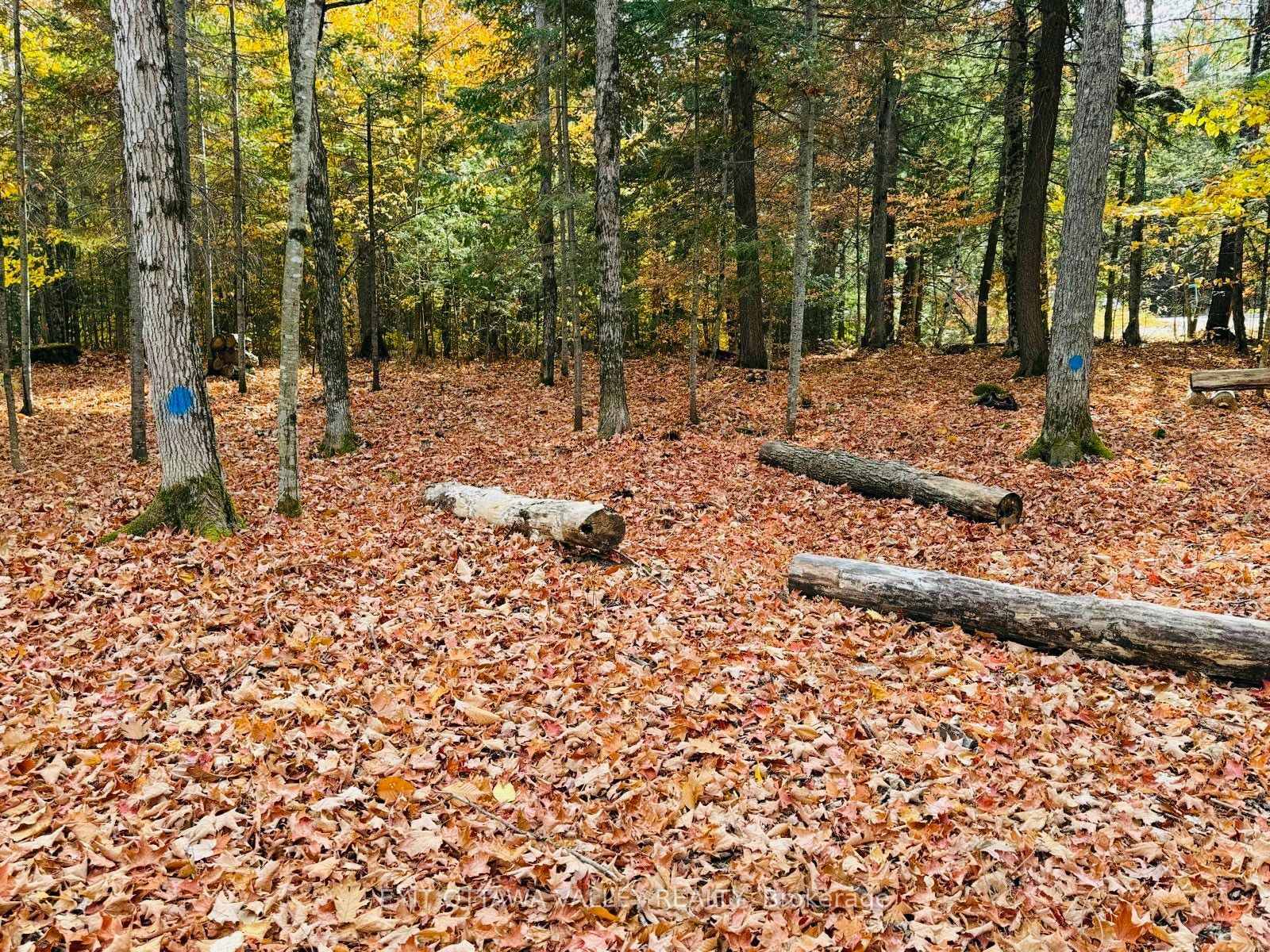 Photo 50 of Lakeshore Drive, Hastings Highlands, Bangor Ward — HOMEH