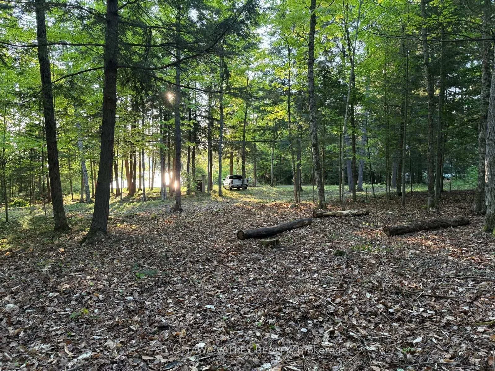 Photo 18 of Lakeshore Drive, Hastings Highlands, Bangor Ward — HOMEH