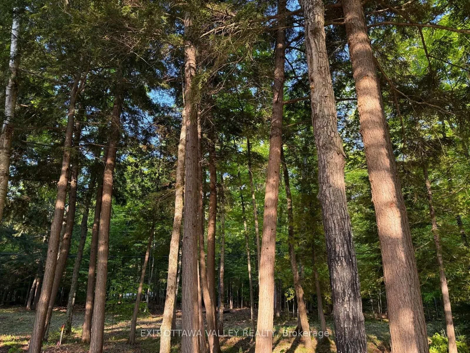 Photo 27 of Lakeshore Drive, Hastings Highlands, Bangor Ward — HOMEH