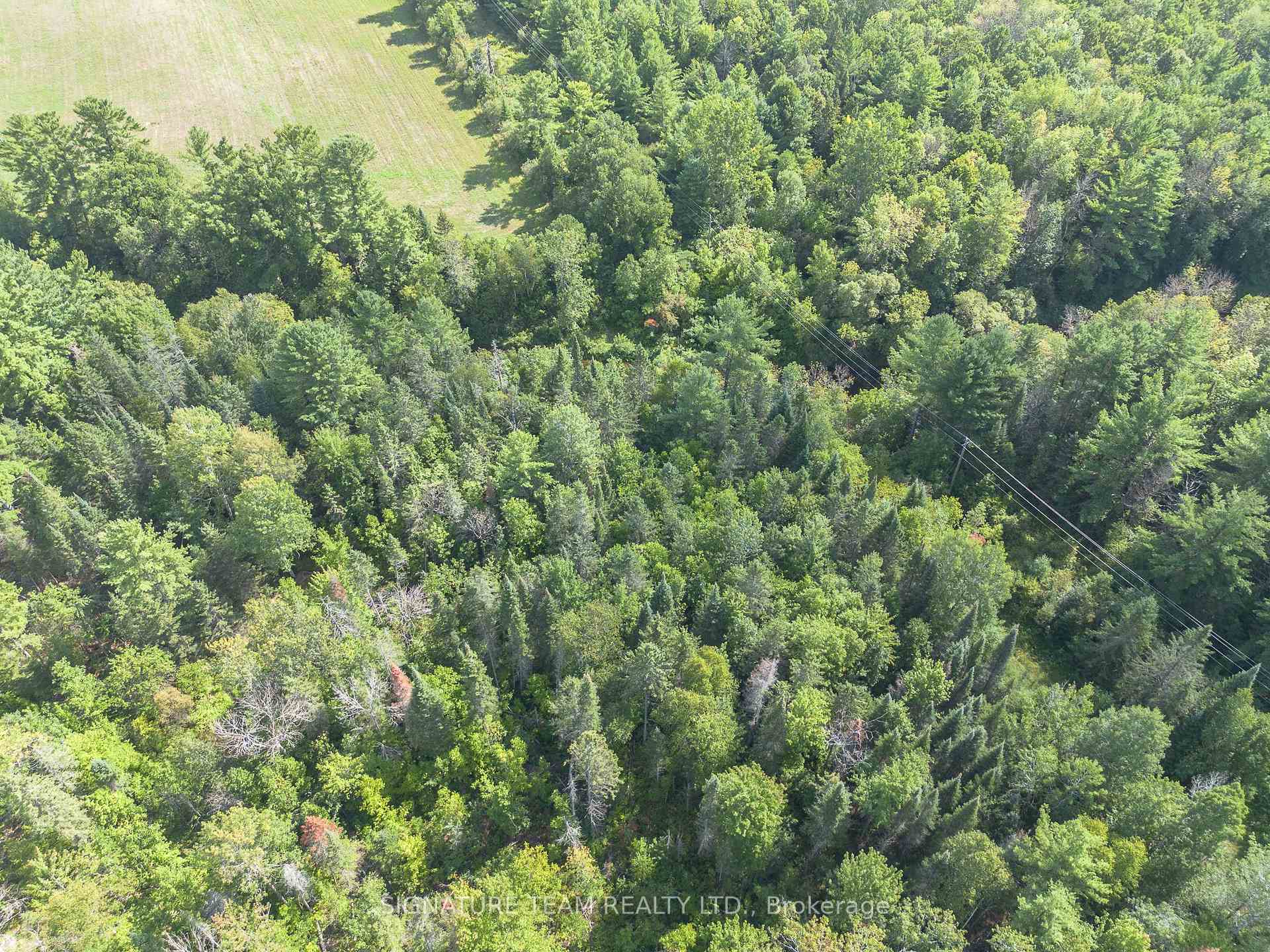 Photo 9 of Mud Lake Road, Laurentian Valley, Laurentian Valley — HOMEH