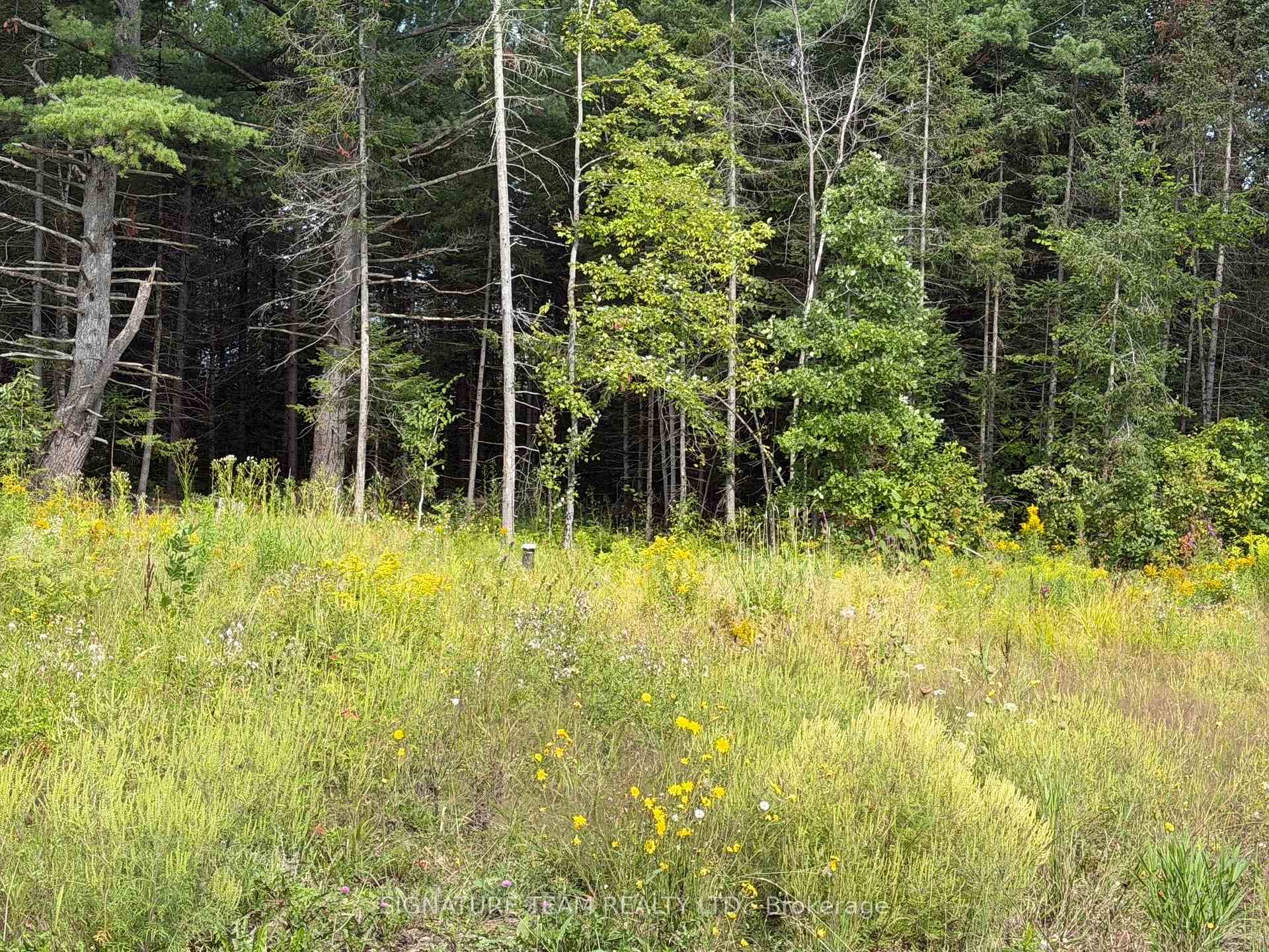 Photo 24 of Mud Lake Road, Laurentian Valley, Laurentian Valley — HOMEH