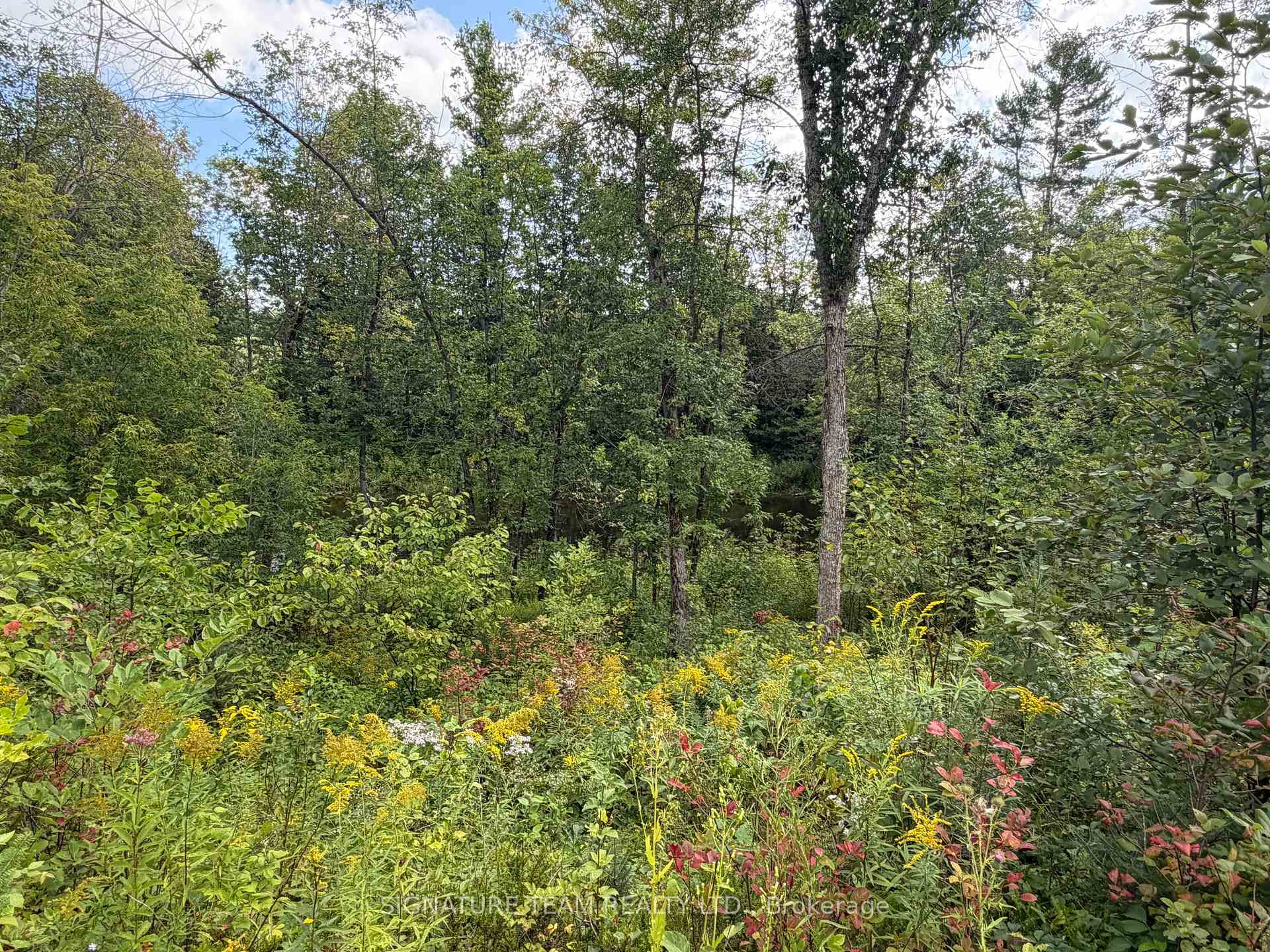 Photo 25 of Mud Lake Road, Laurentian Valley, Laurentian Valley — HOMEH