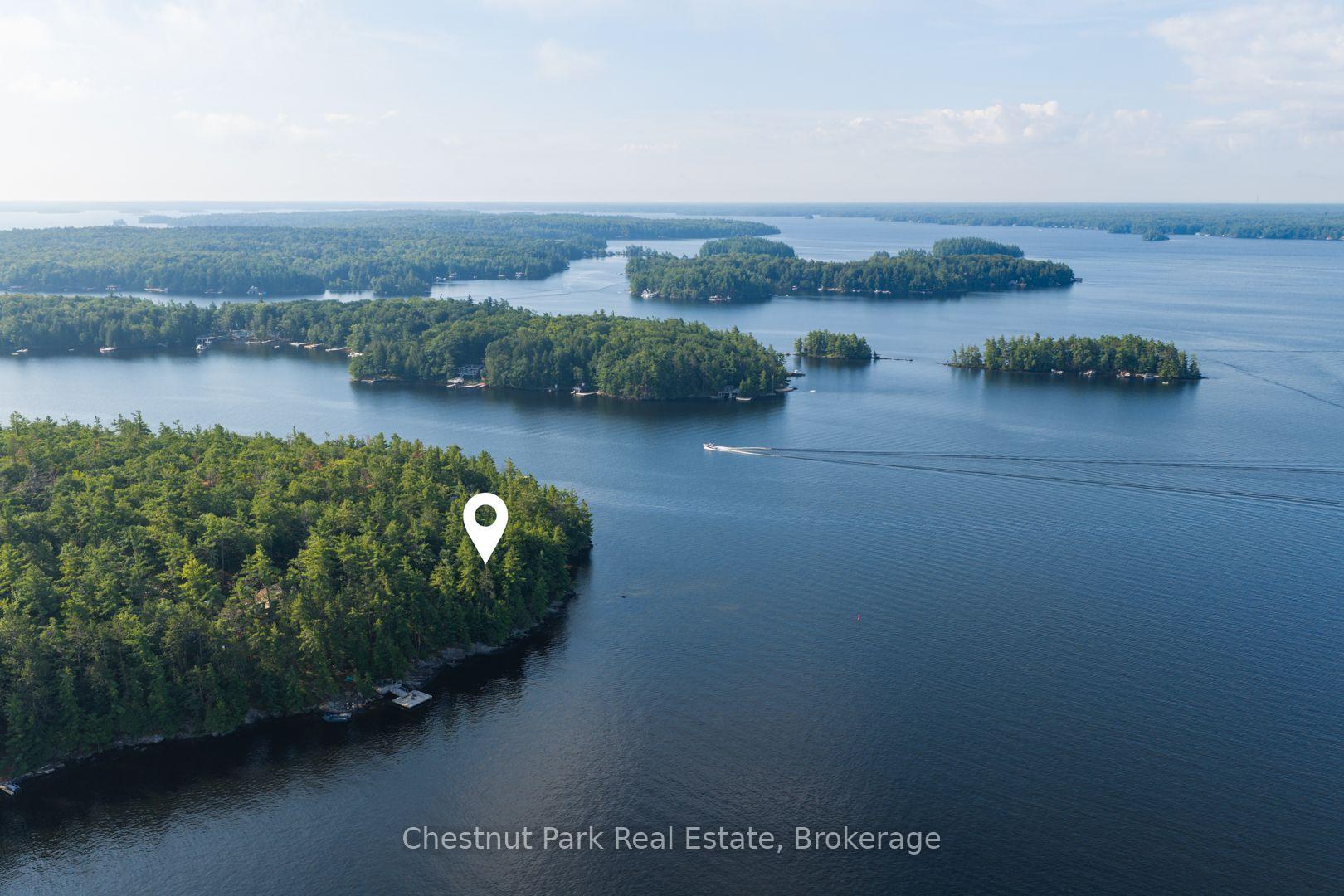 Photo of West Side of Island M81 - Pine