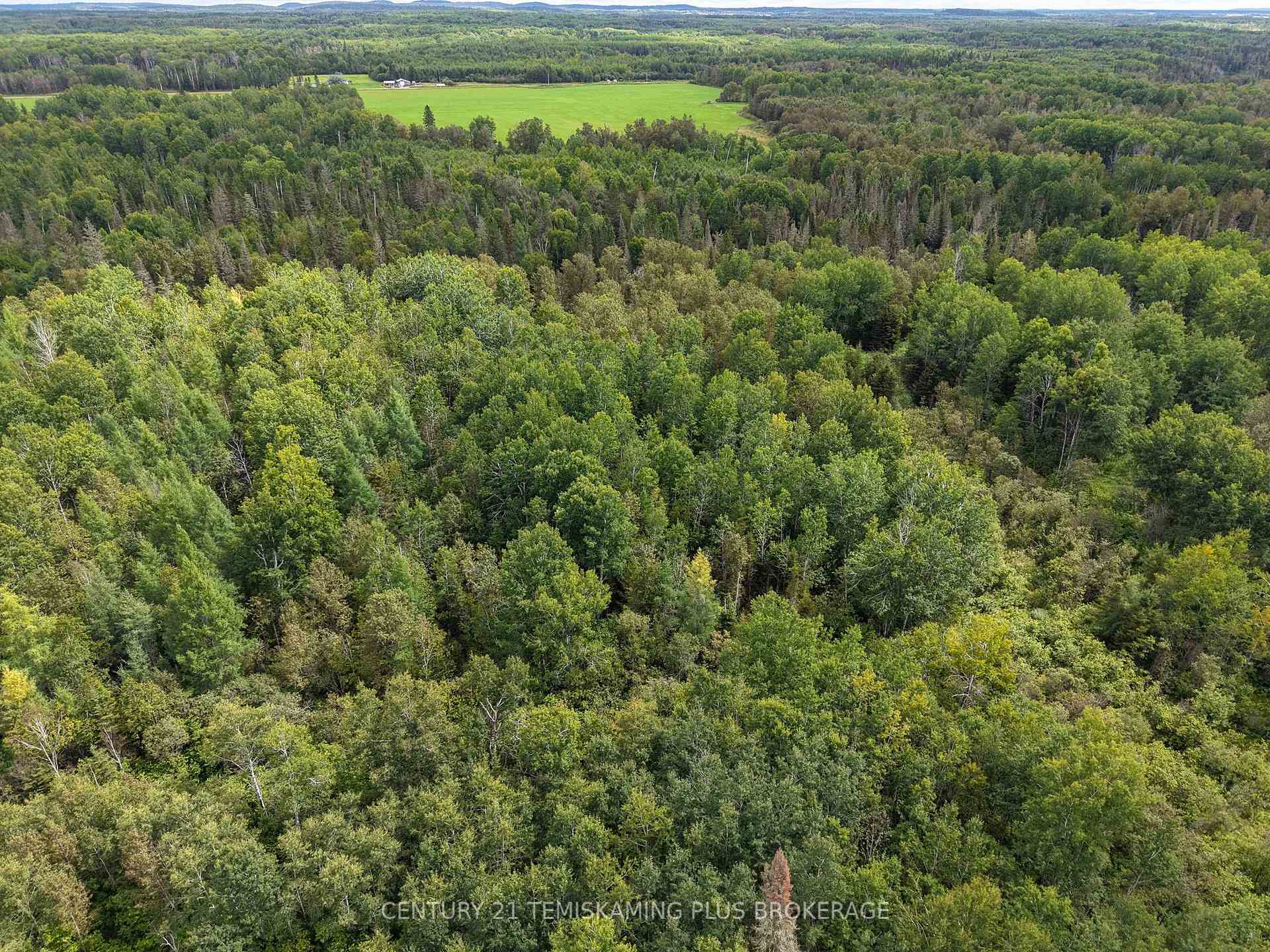 Photo 6 of 426367 Birch Drive, Englehart, Central Timiskaming — HOMEH