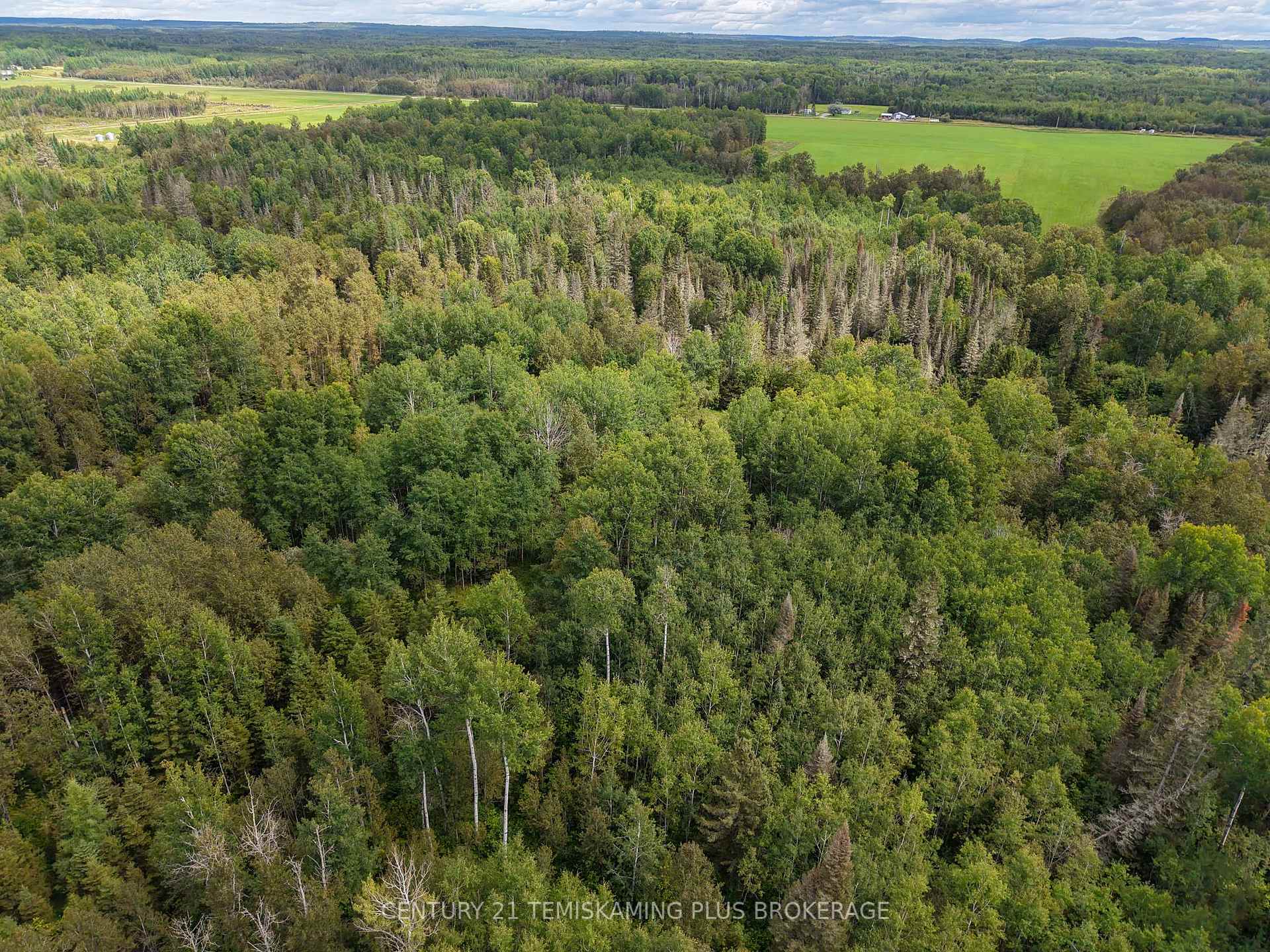 Photo 7 of 426367 Birch Drive, Englehart, Central Timiskaming — HOMEH