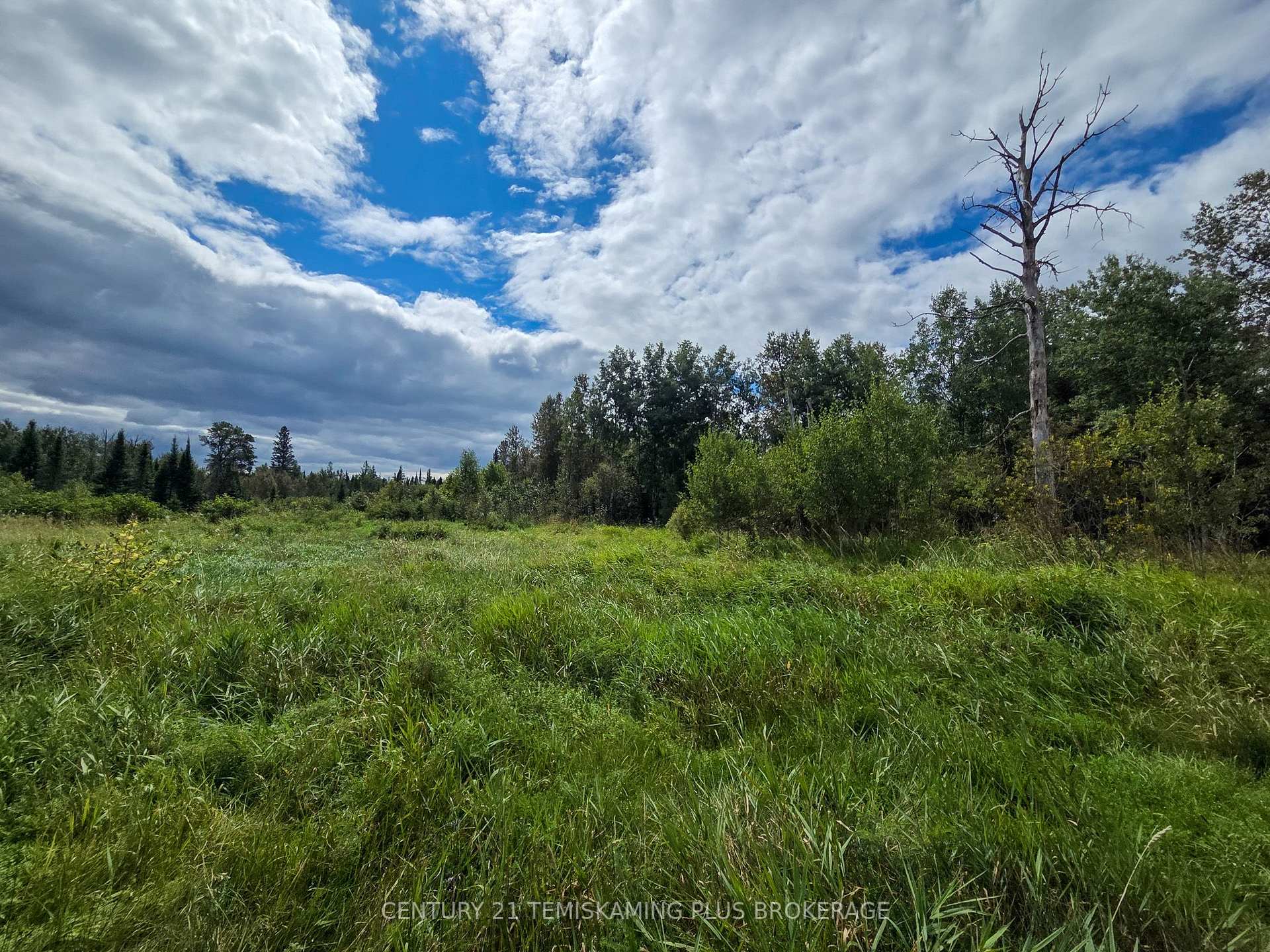 Photo 19 of 426367 Birch Drive, Englehart, Central Timiskaming — HOMEH