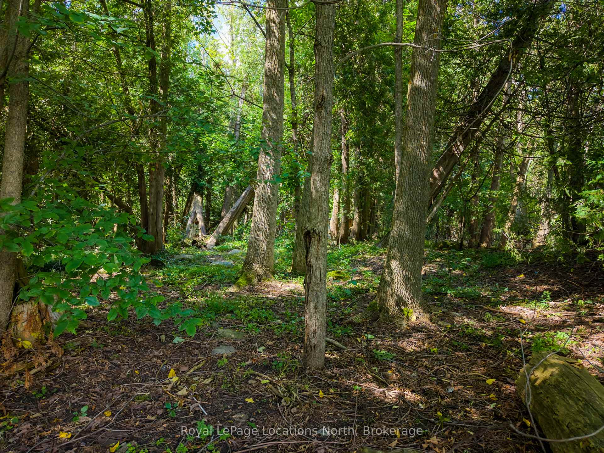 Photo 46 of 145839 Grey Road 12, Meaford — HOMEH