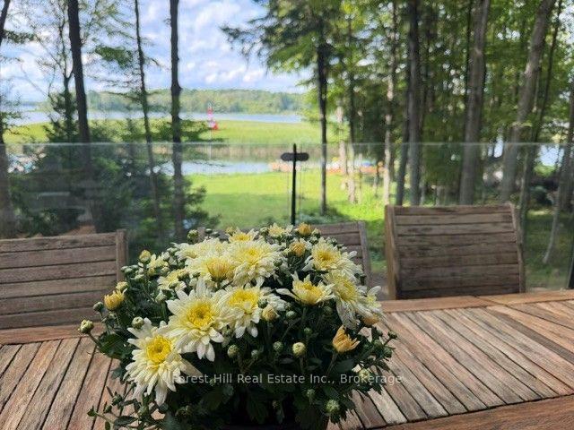 Photo 9 of 218 Wiles Lane, Grey Highlands — HOMEH