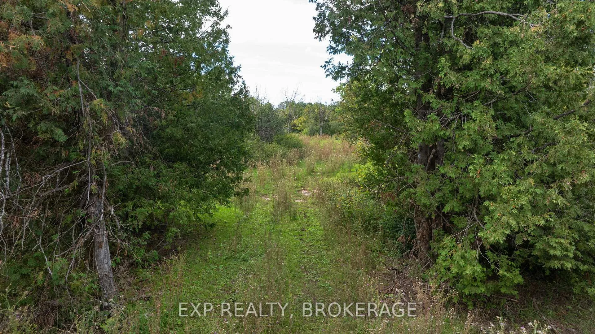 Photo 14 of Lot 1 Horning Road, Frontenac, Frontenac South — HOMEH