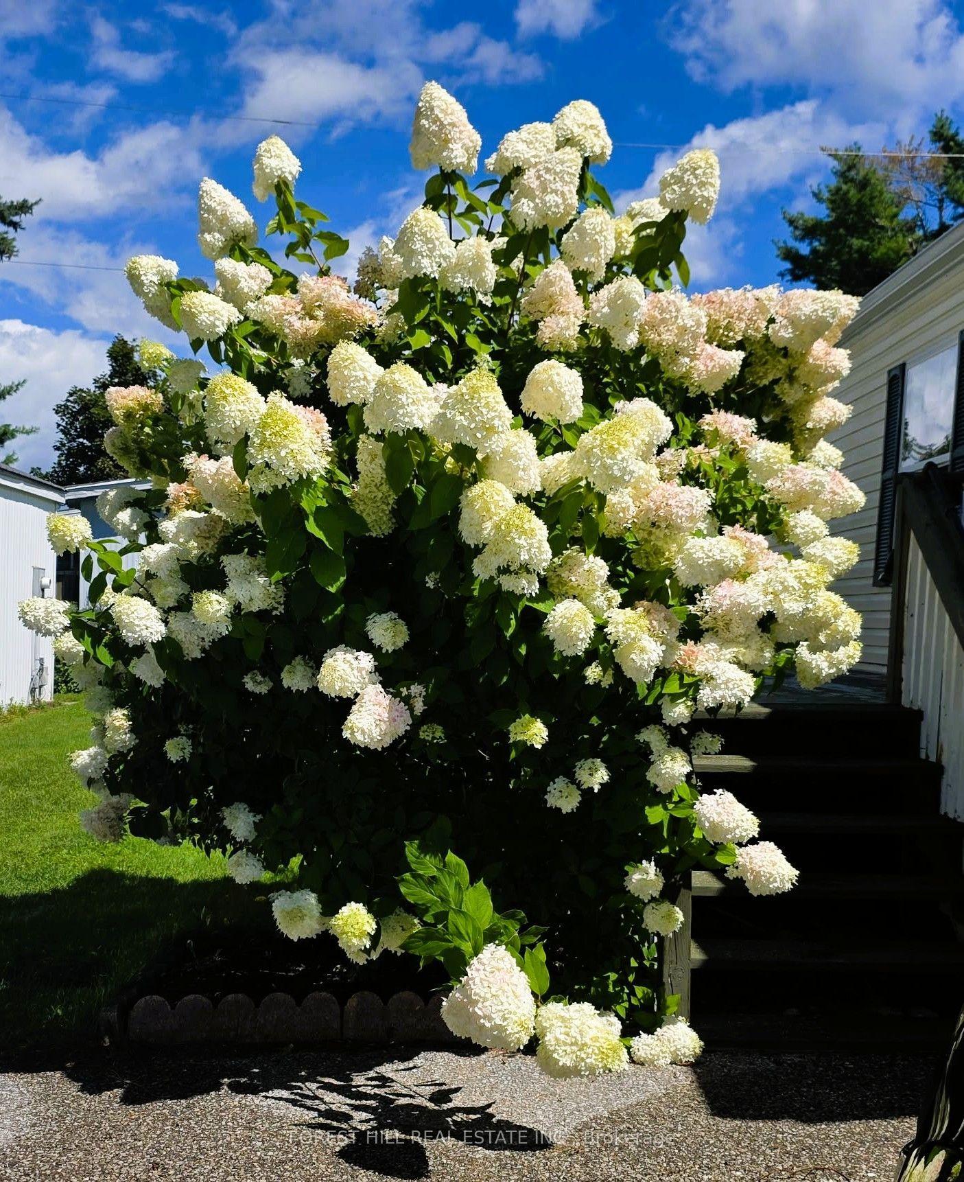 Photo 2 of 4105 Spruce Road, Severn, Rural Severn — HOMEH