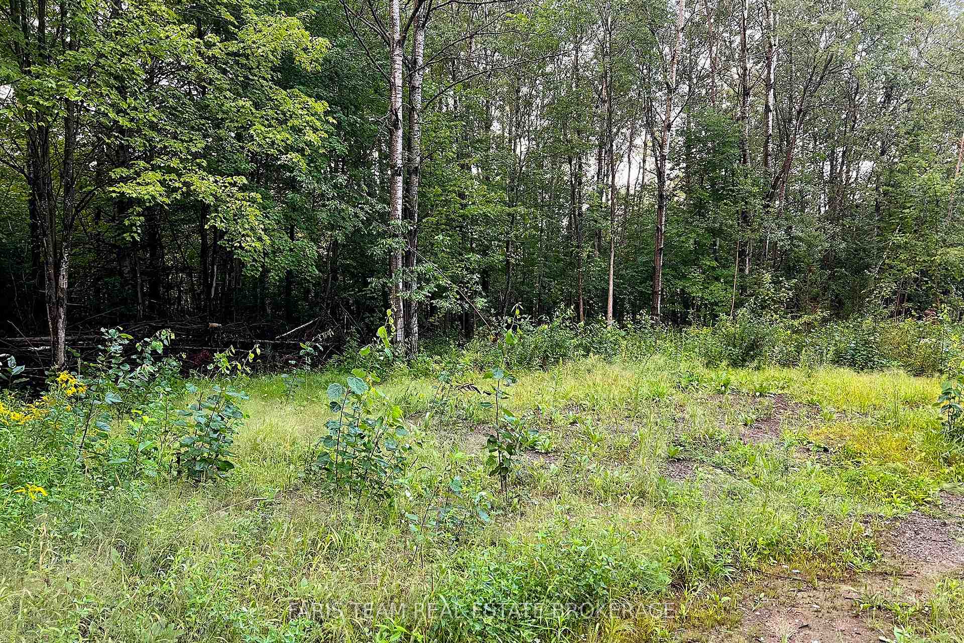 Photo 20 of 2444 Fairgrounds Road, Ramara, Rural Ramara — HOMEH