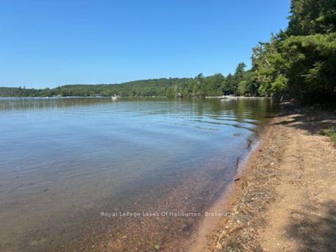 Photo 7 of 1046 Placid Lane, Algonquin Highlands, Stanhope — HOMEH
