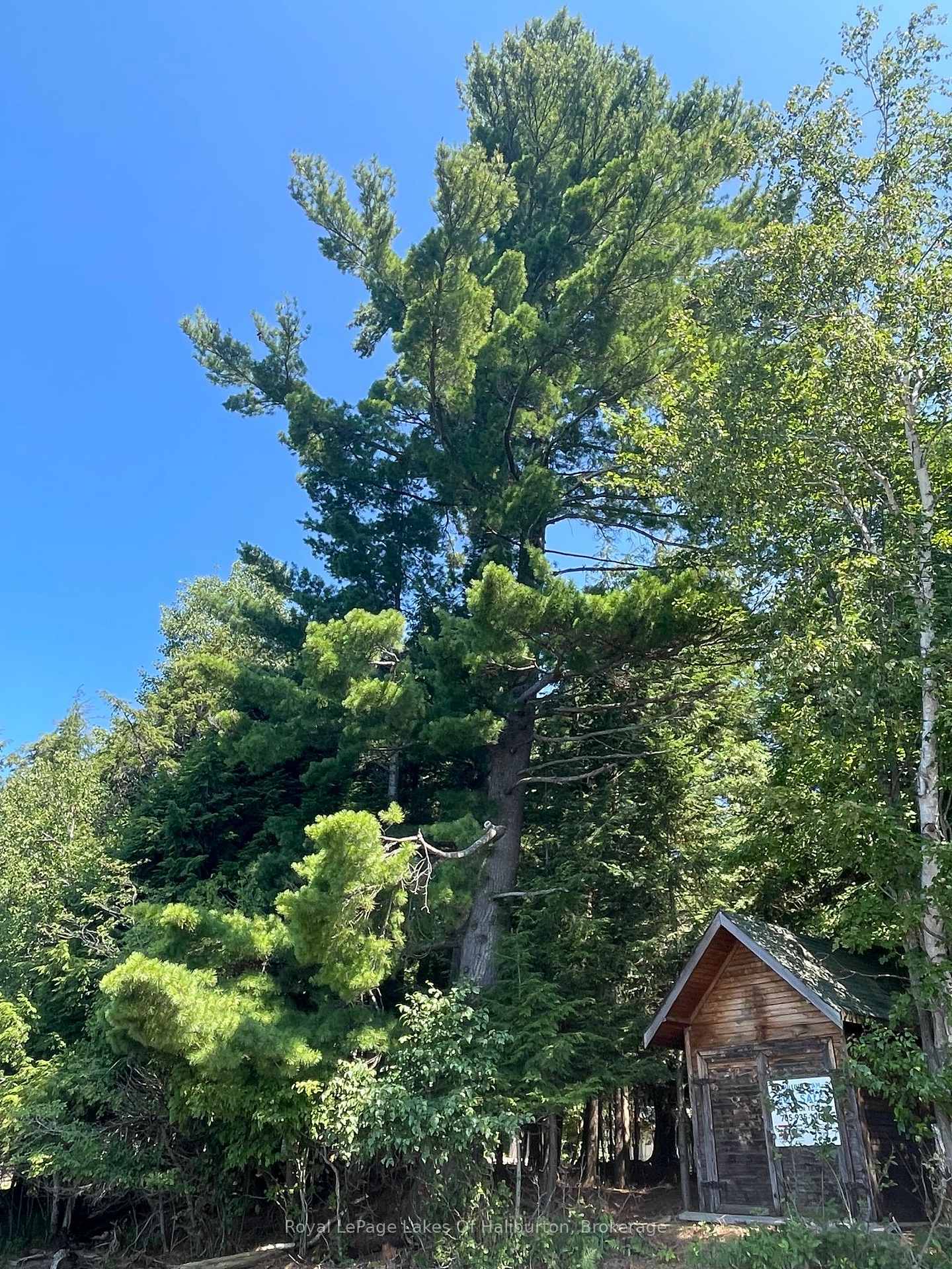 Photo 9 of 1046 Placid Lane, Algonquin Highlands, Stanhope — HOMEH