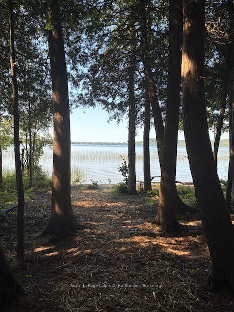Photo 22 of 1046 Placid Lane, Algonquin Highlands, Stanhope — HOMEH