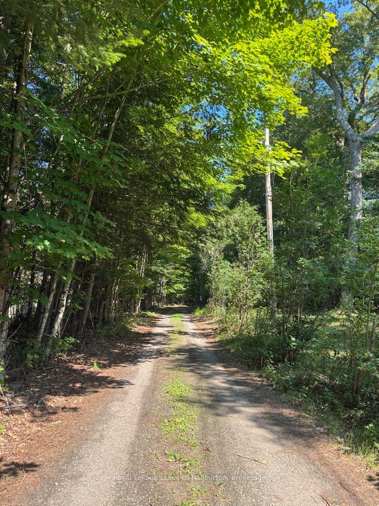 Photo 30 of 1046 Placid Lane, Algonquin Highlands, Stanhope — HOMEH