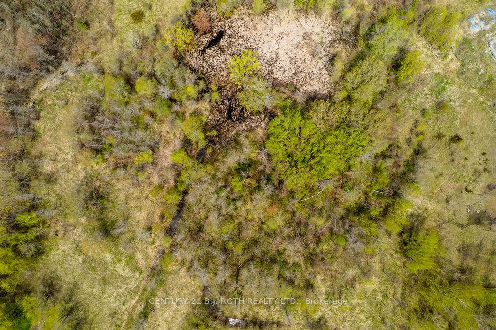 Photo 11 of 15 Quarry Road, Tay, Waubaushene — HOMEH