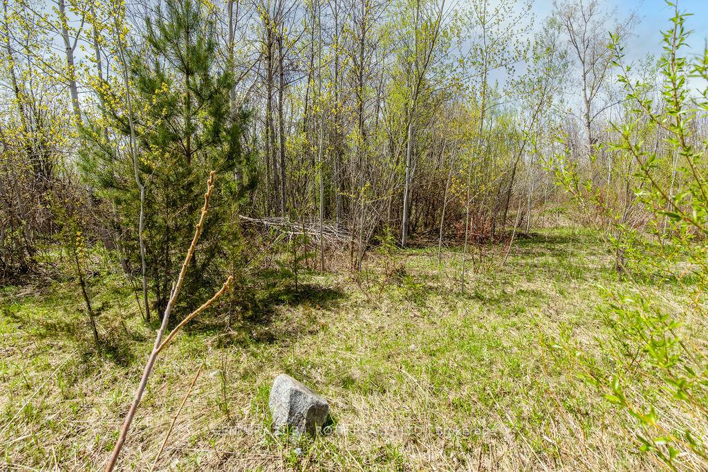 Photo 24 of 15 Quarry Road, Tay, Waubaushene — HOMEH