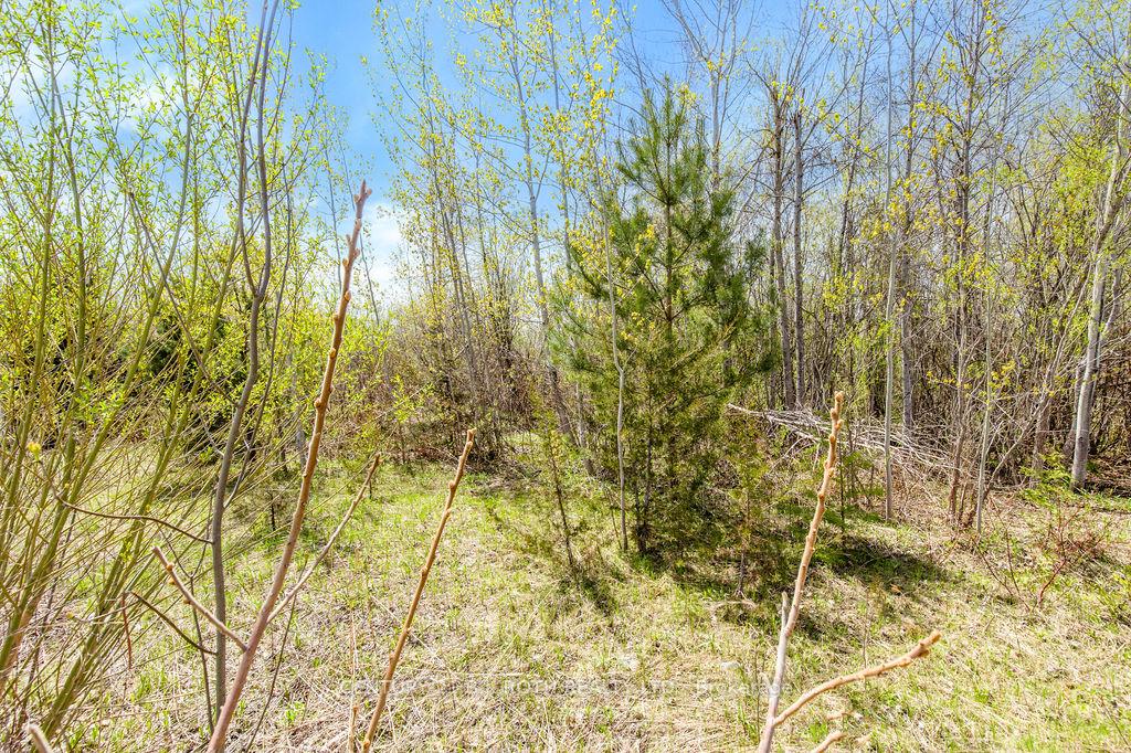 Photo 26 of 15 Quarry Road, Tay, Waubaushene — HOMEH