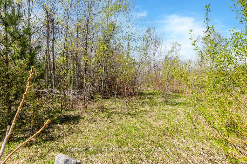 Photo 27 of 15 Quarry Road, Tay, Waubaushene — HOMEH
