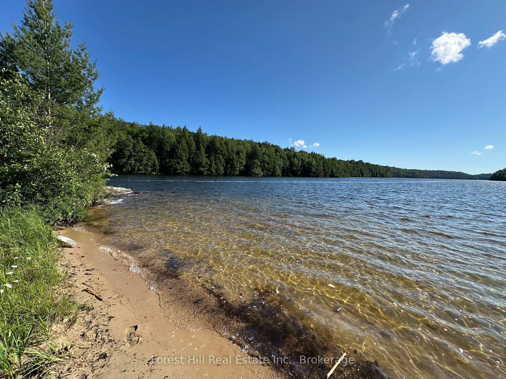 Photo 5 of Pt Lt 8,9,10 Con 13, Parry Sound Remote Area, Wilson — HOMEH