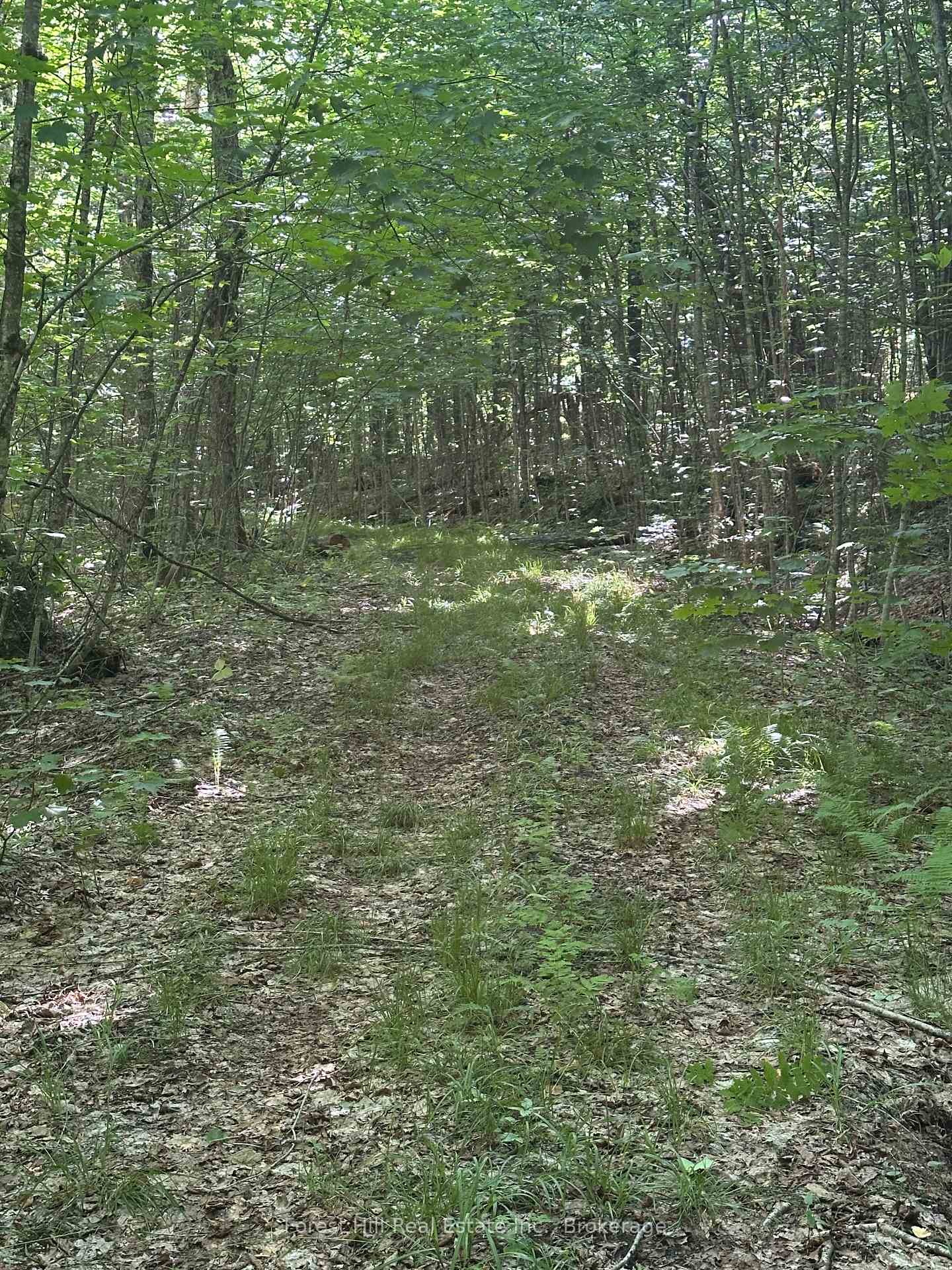 Photo 8 of Pt Lt 8,9,10 Con 13, Parry Sound Remote Area, Wilson — HOMEH