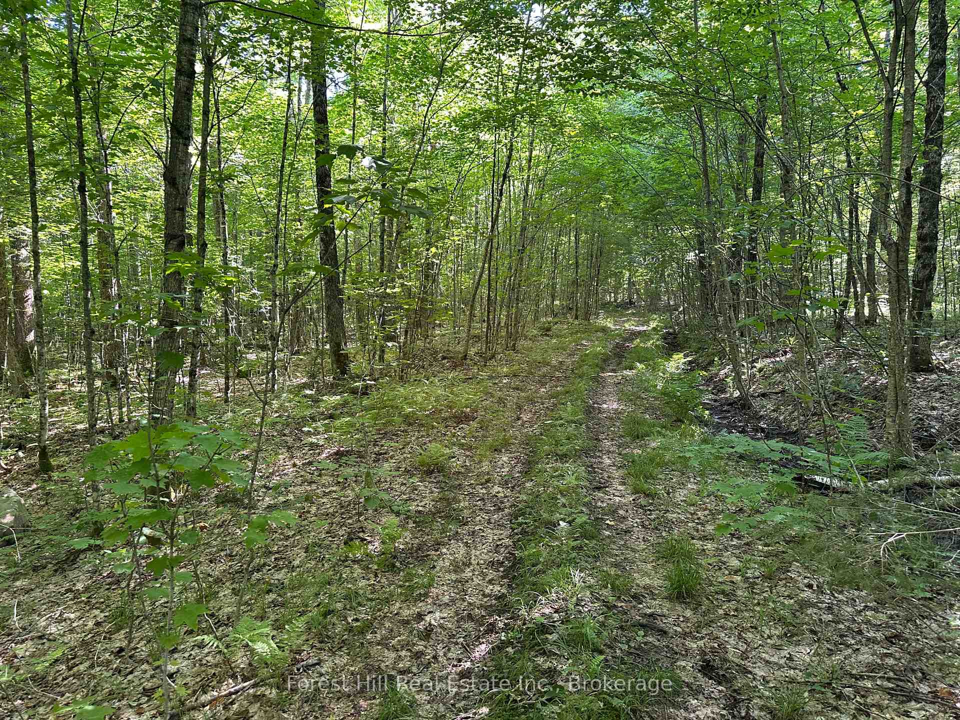 Photo 9 of Pt Lt 8,9,10 Con 13, Parry Sound Remote Area, Wilson — HOMEH