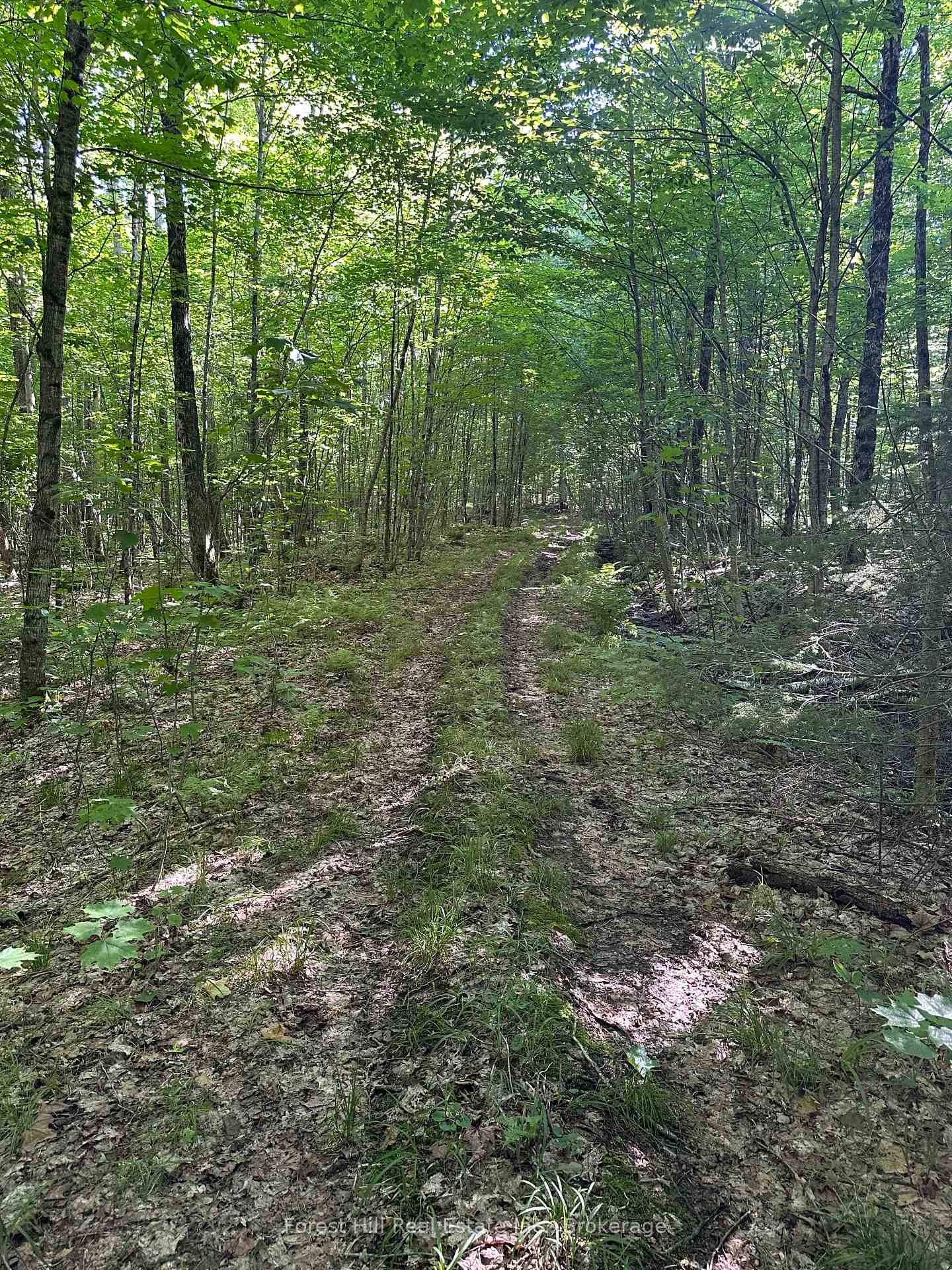 Photo 10 of Pt Lt 8,9,10 Con 13, Parry Sound Remote Area, Wilson — HOMEH