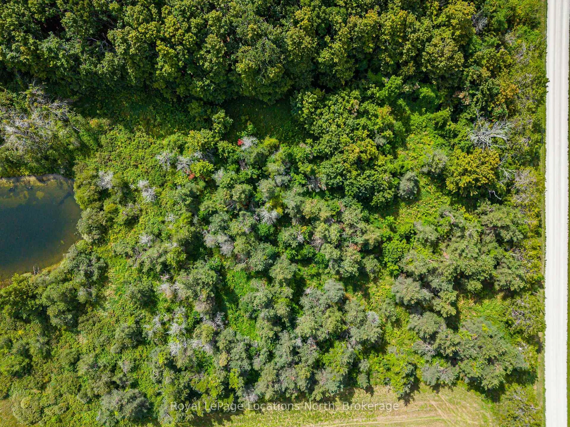 Photo 6 of Lot 15 3rd Line E, Blue Mountains — HOMEH