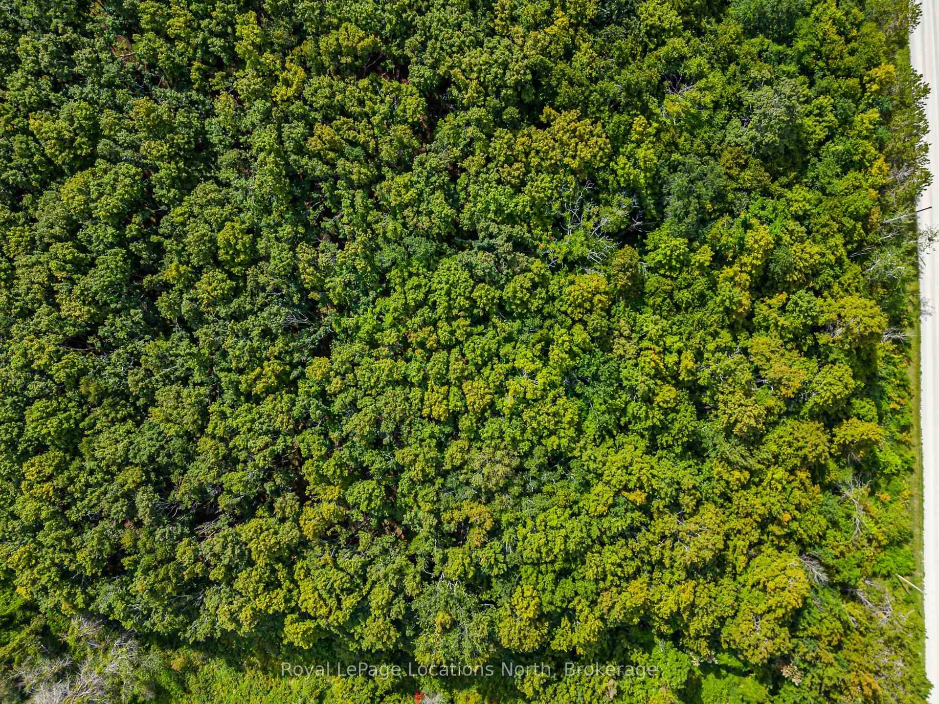 Photo 8 of Lot 15 3rd Line E, Blue Mountains — HOMEH