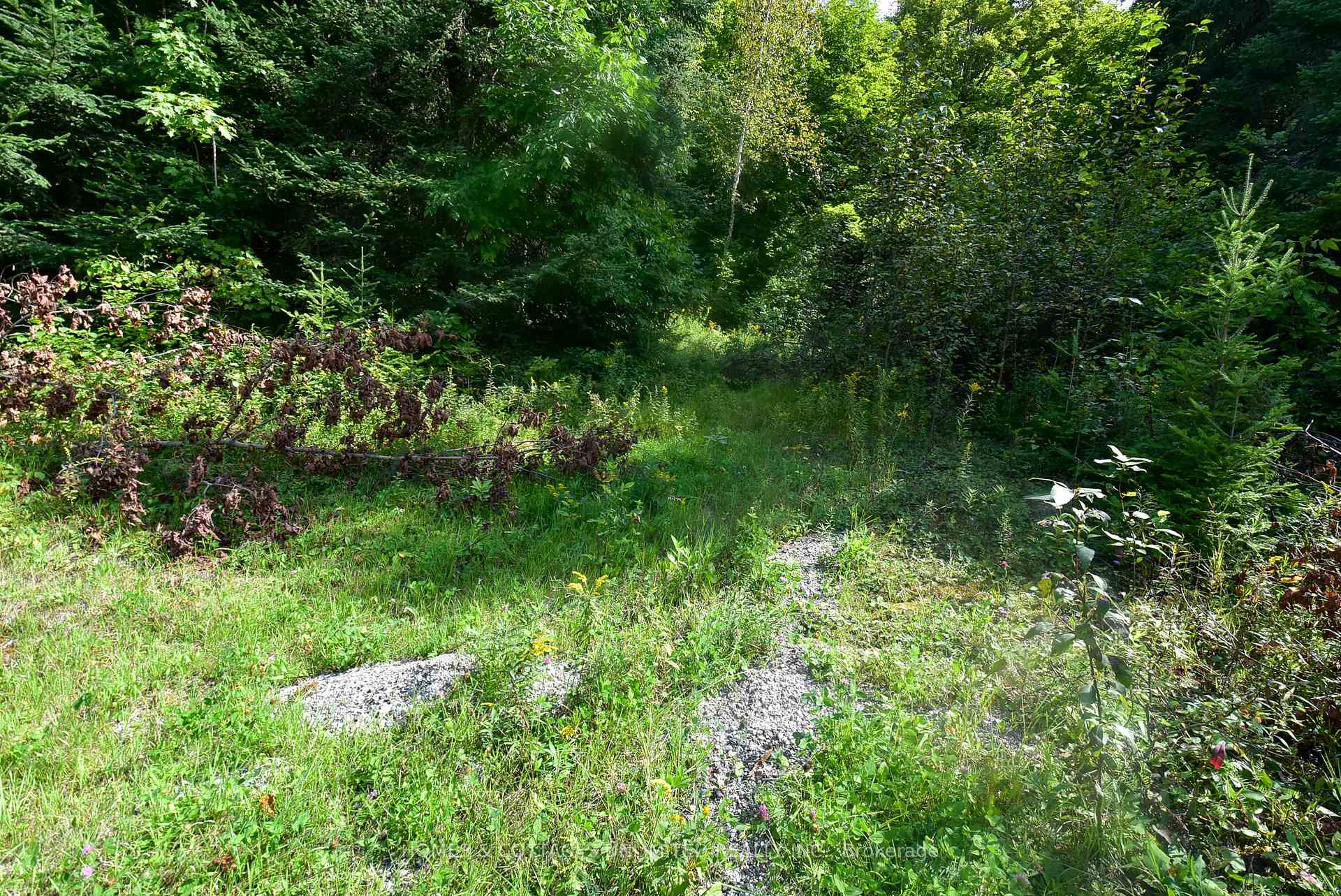 Photo 8 of 2493 River Road, Frontenac, Frontenac North — HOMEH