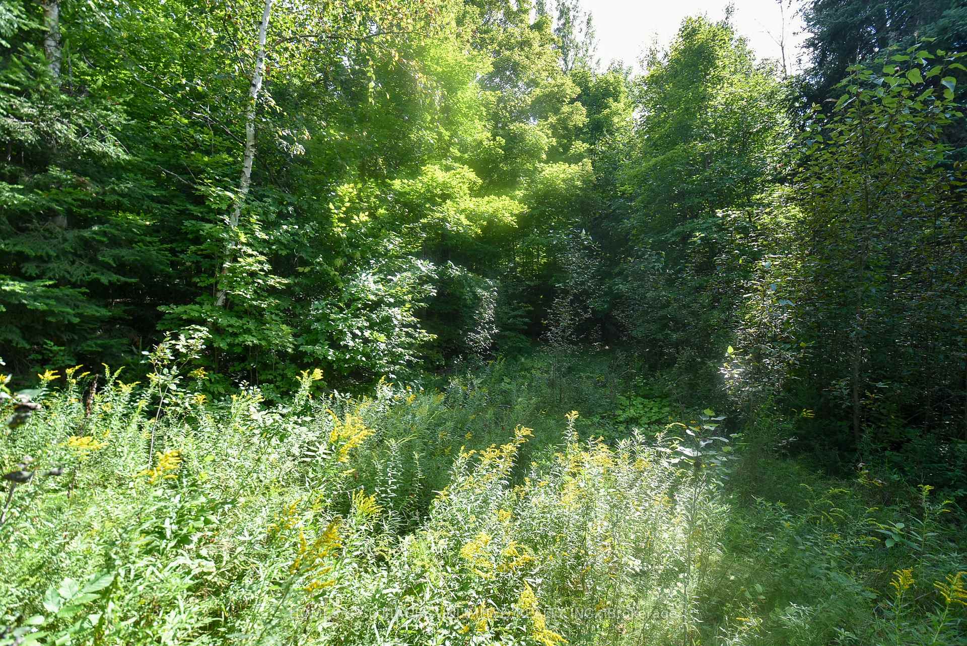 Photo 9 of 2493 River Road, Frontenac, Frontenac North — HOMEH