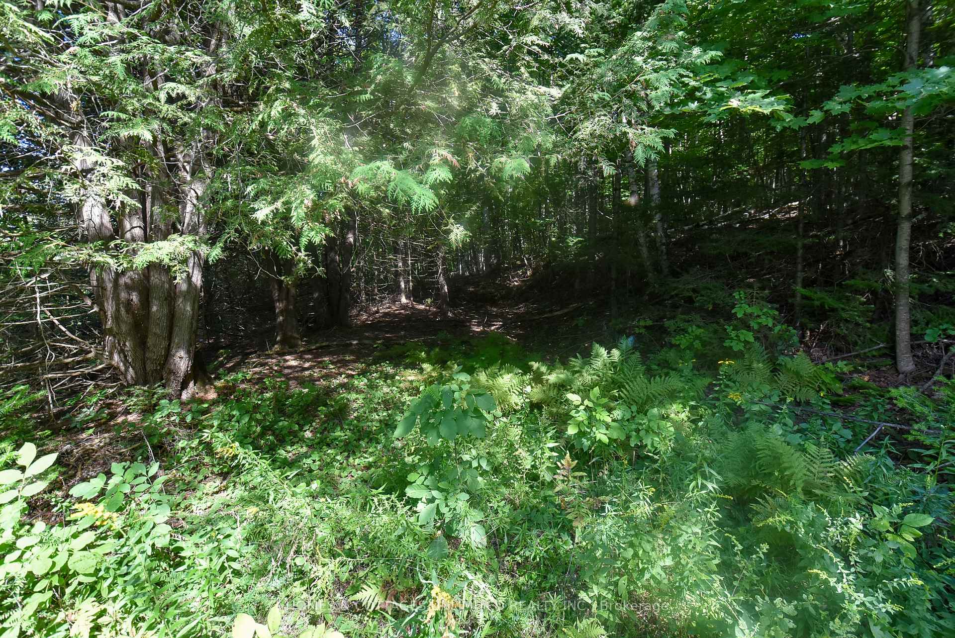 Photo 10 of 2493 River Road, Frontenac, Frontenac North — HOMEH