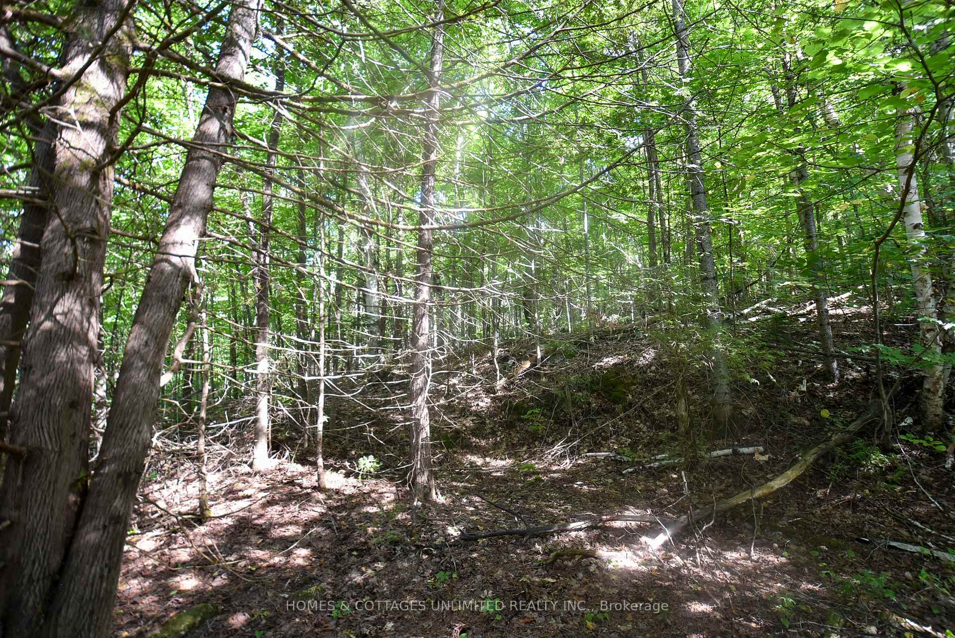 Photo 11 of 2493 River Road, Frontenac, Frontenac North — HOMEH