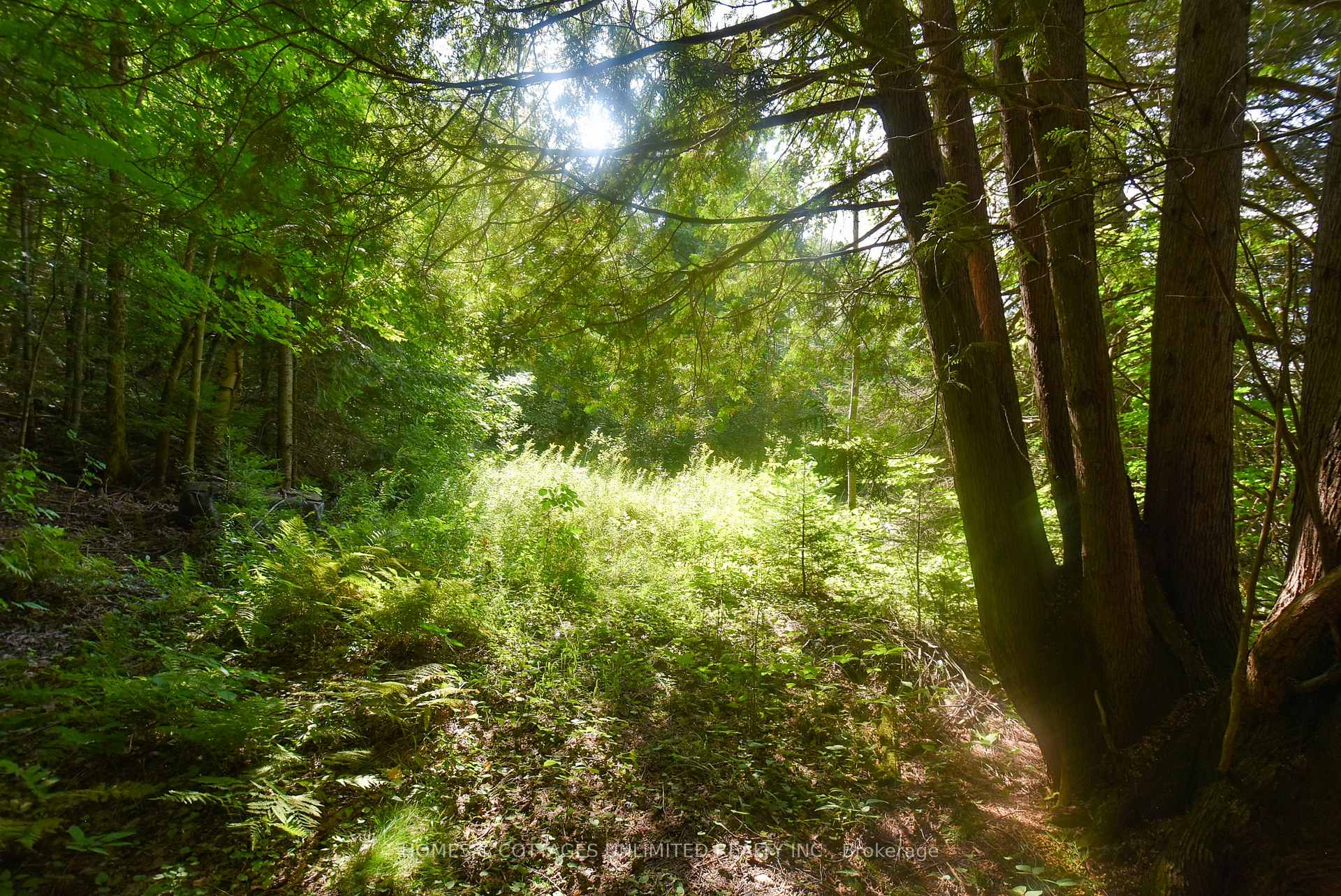Photo 12 of 2493 River Road, Frontenac, Frontenac North — HOMEH